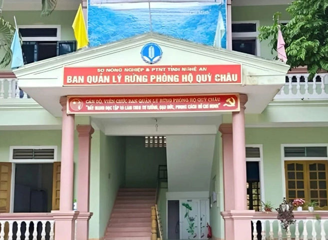 Khởi tố 4 nhân viên quản lý rừng ở Nghệ An- Ảnh 1.