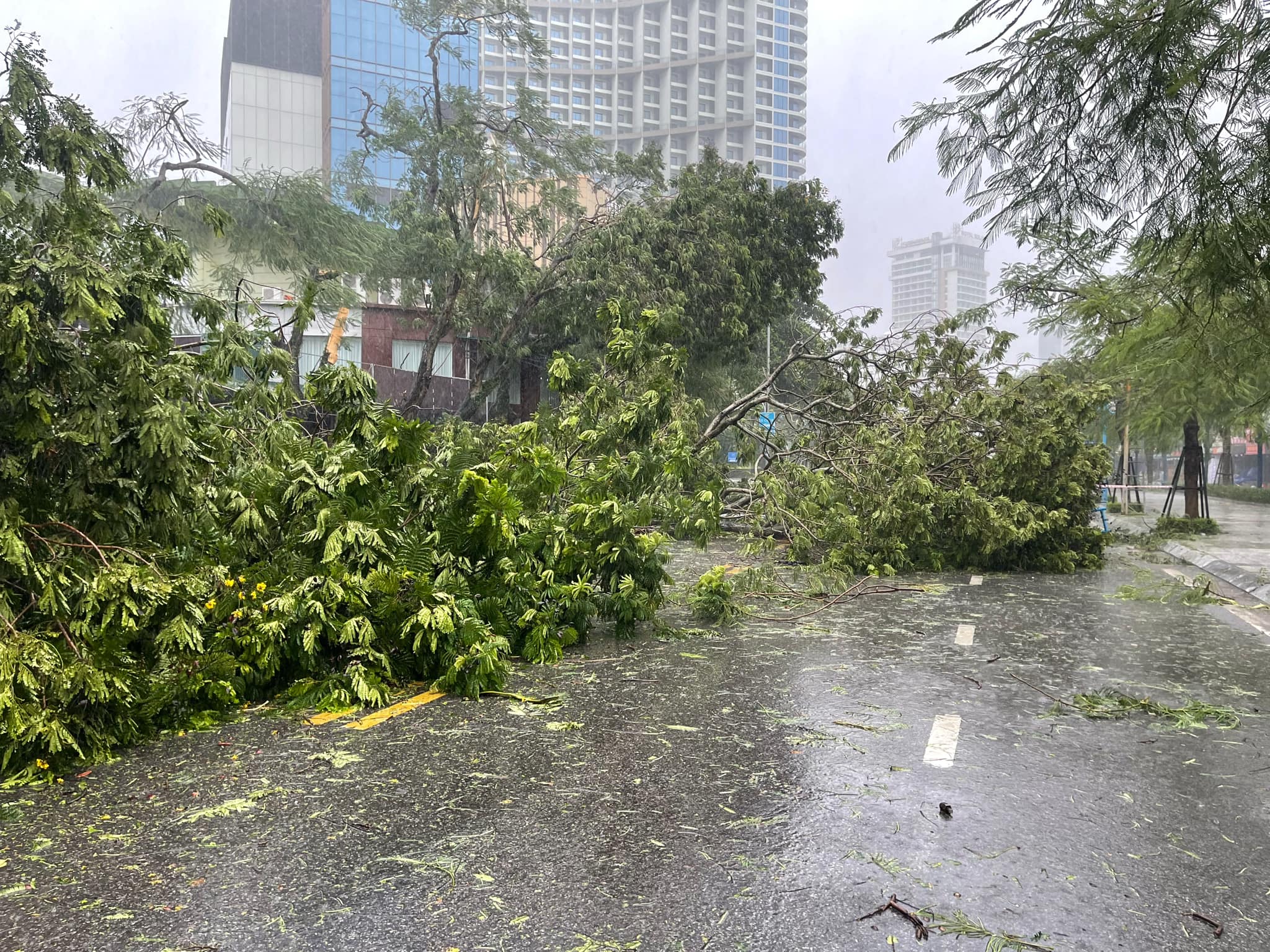 Bão Yagi đang tàn phá Quảng Ninh, người dân khiếp sợ- Ảnh 7.