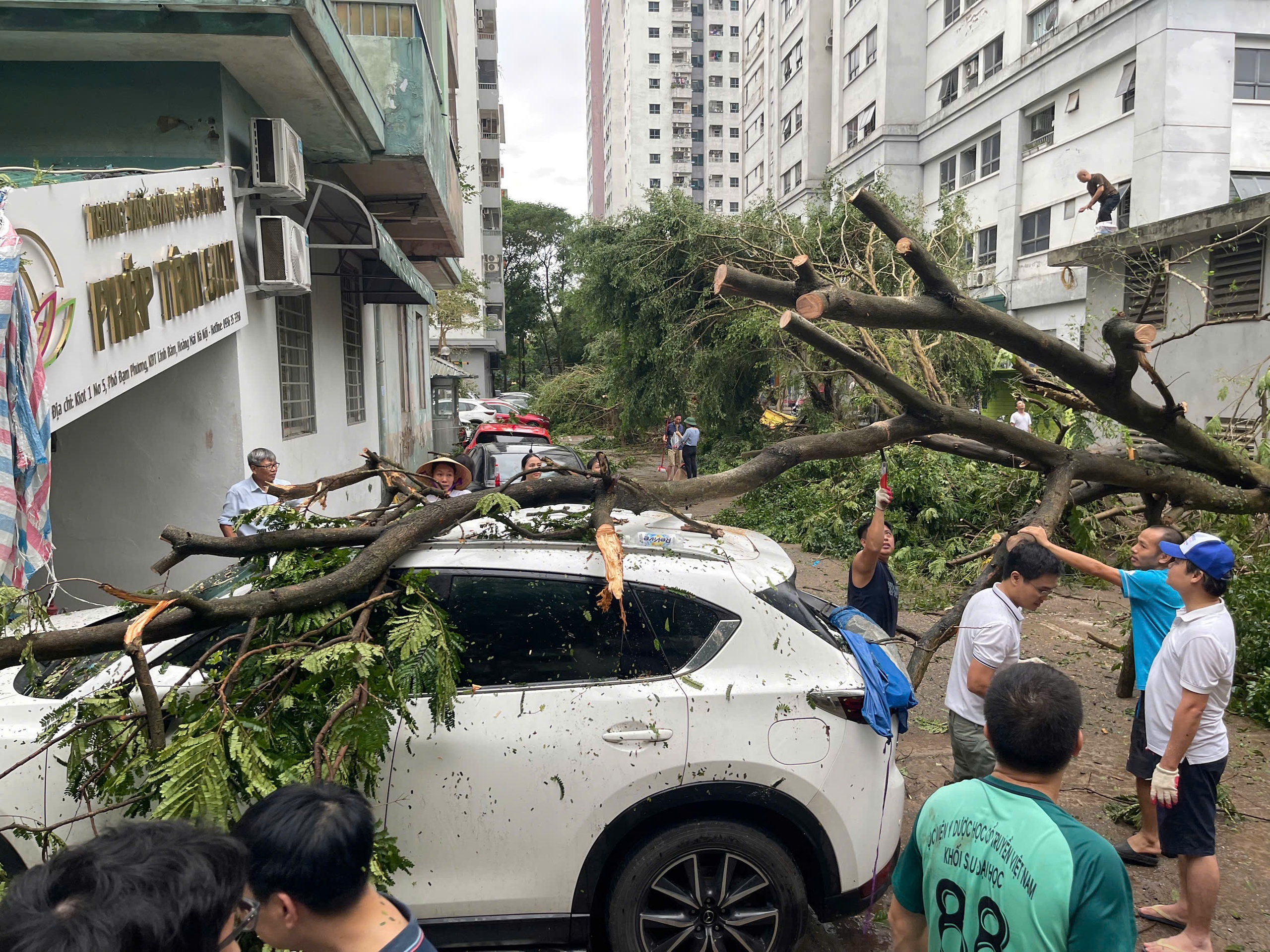 Hàng loạt ô tô ở Hà Nội bị cây đổ đè bẹp trong bão Yagi- Ảnh 10.