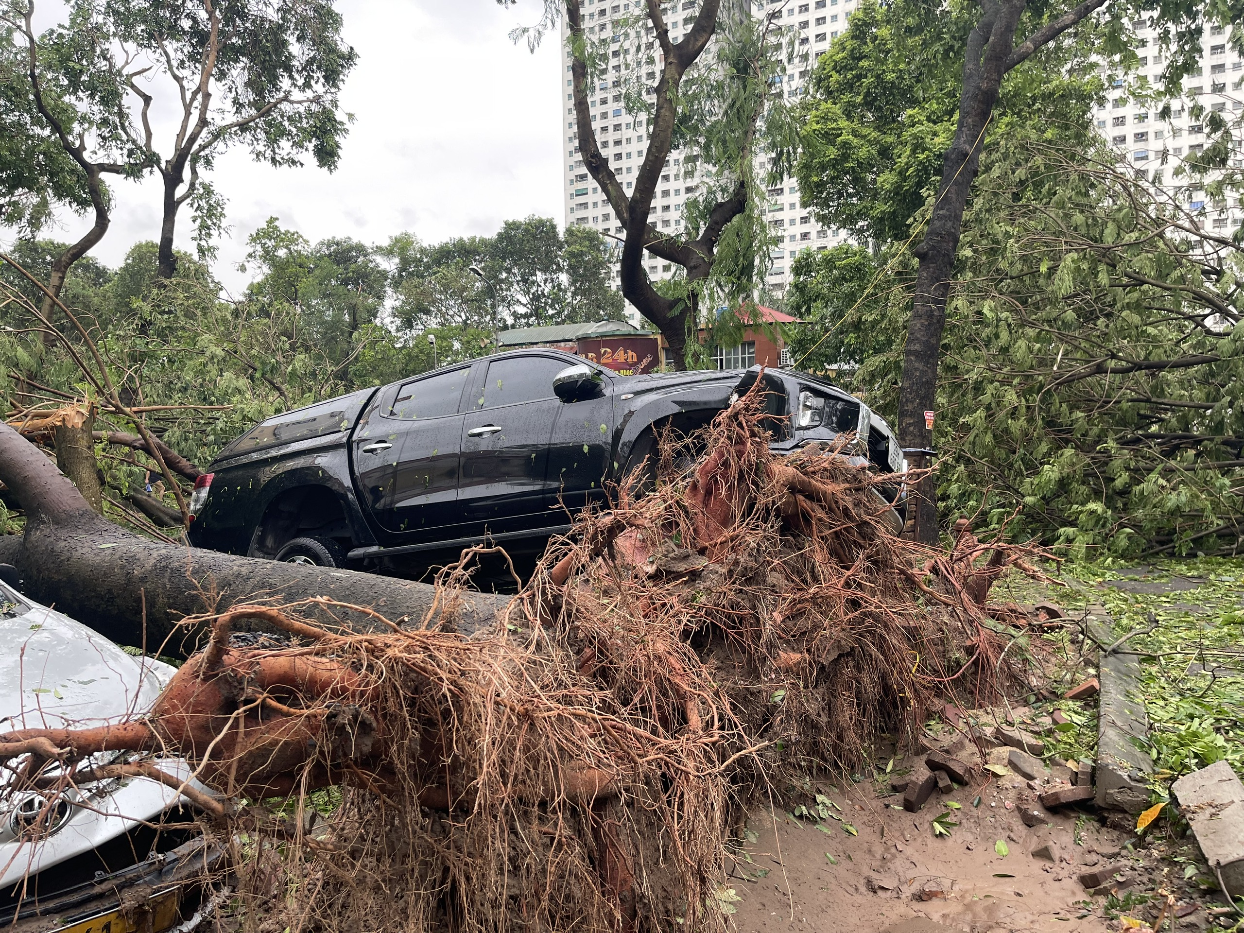 Hàng loạt ô tô ở Hà Nội bị cây đổ đè bẹp trong bão Yagi- Ảnh 9.