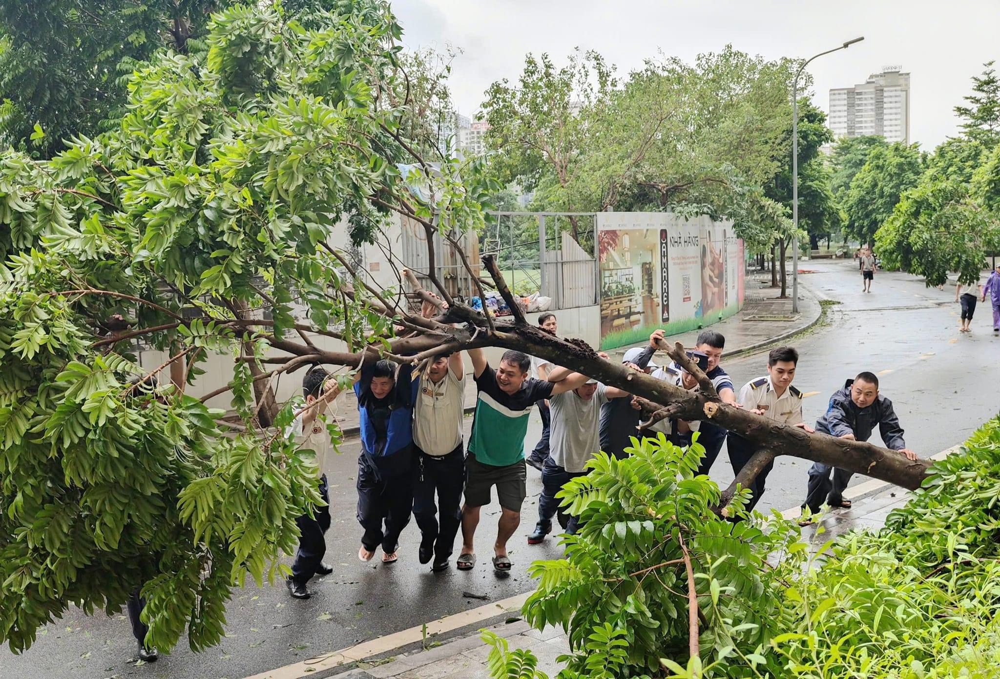 Những hình ảnh đẹp người dân chung tay dọn dẹp sau bão- Ảnh 8.