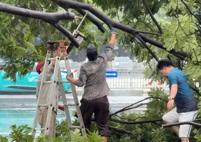 Trận Việt Nam - Thái Lan ở Mỹ Đình diễn ra trong điều kiện thời tiết thế nào?- Ảnh 9.