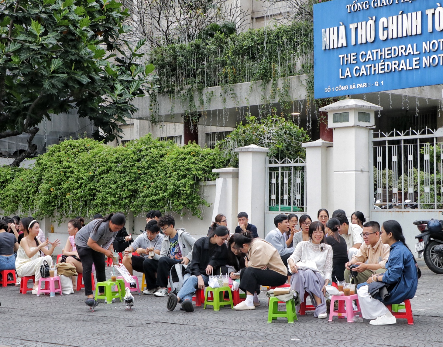 TP.HCM ngày đầu tiên năm mới 2025: Thời tiết mát mẻ, người dân tận hưởng buổi sáng bình yên- Ảnh 8.