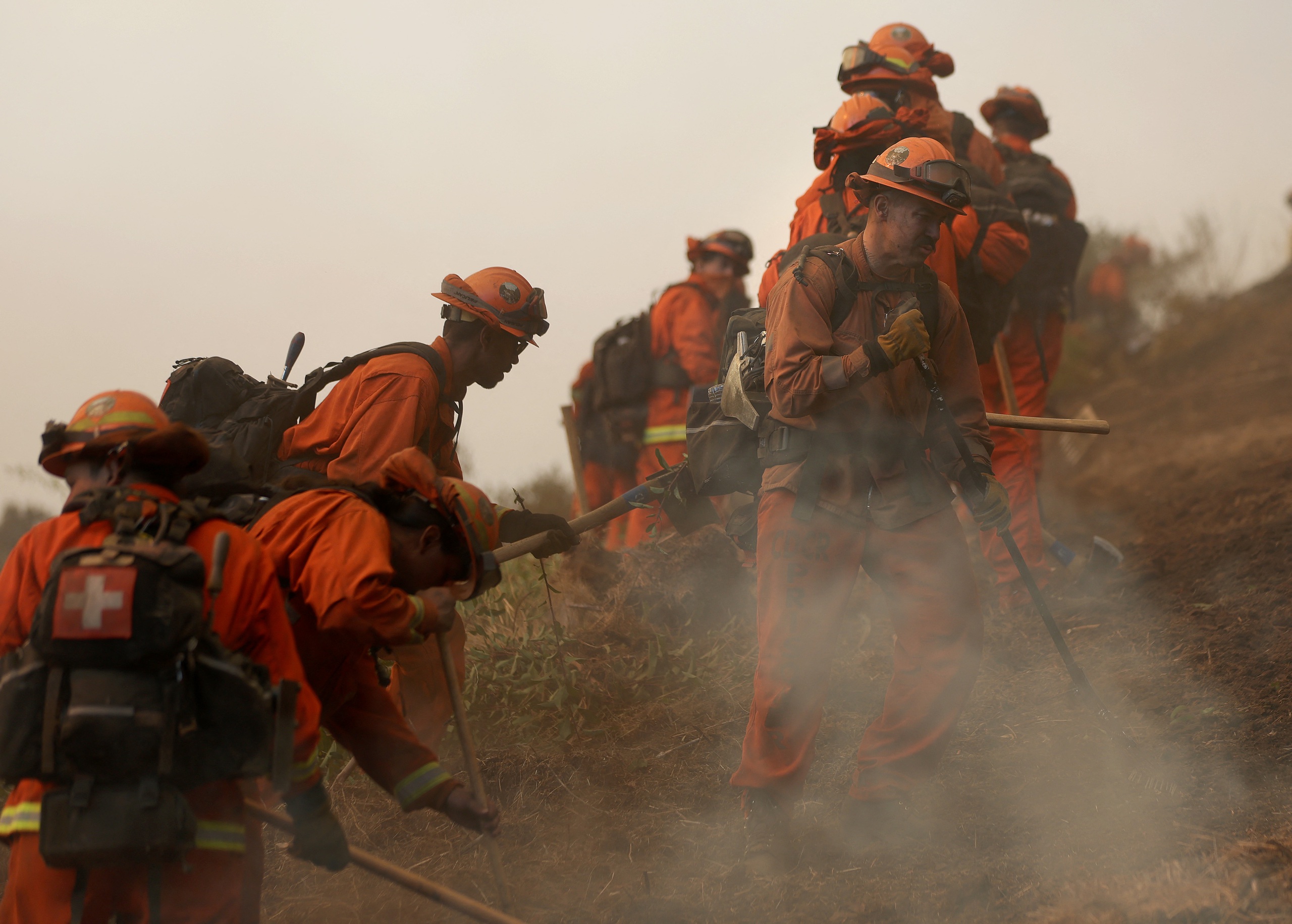 In the midst of a serious forest fire, a thief intended to'visit' the US Vice President's house? - Photo 2.