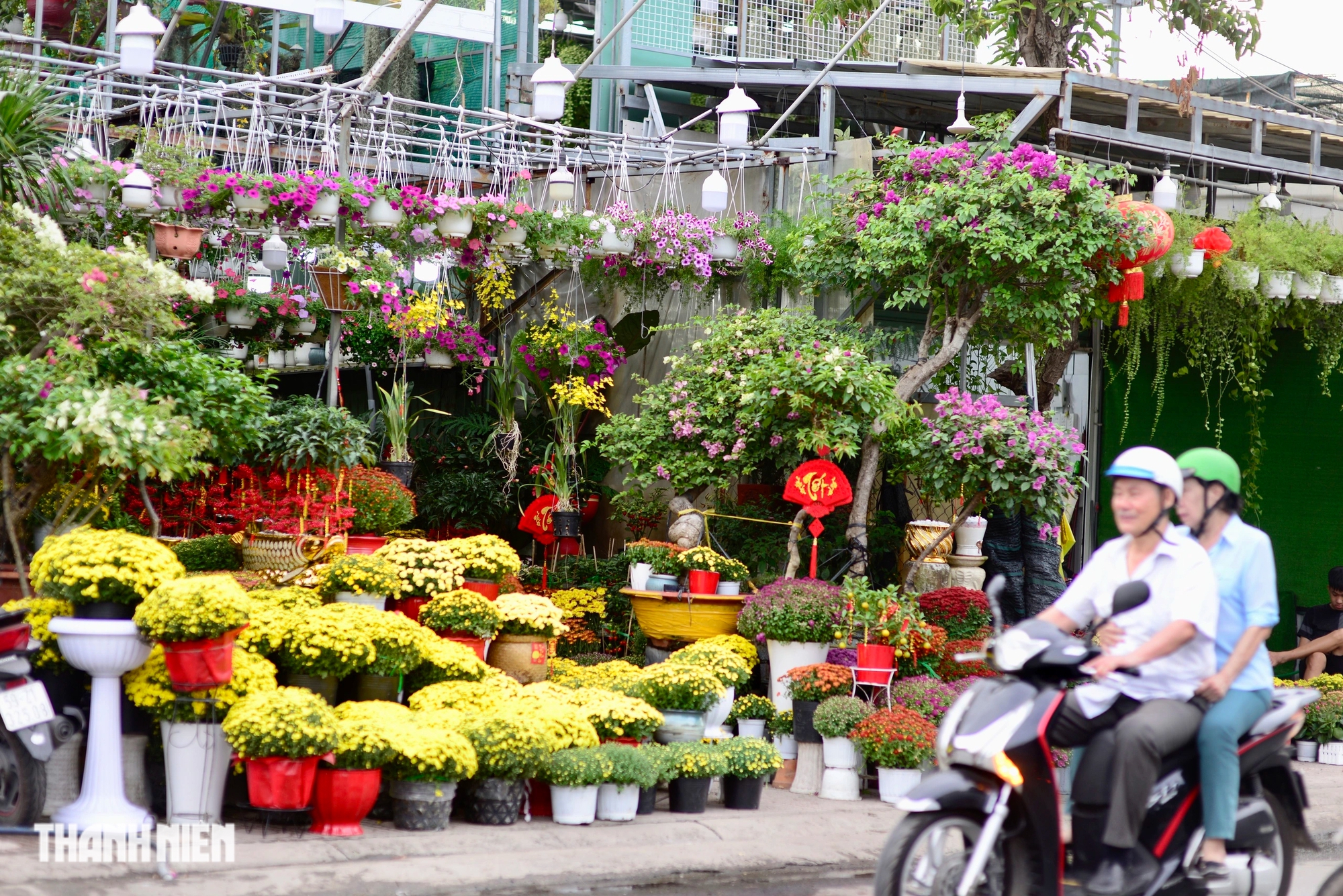 Hoa tết tràn ngập phố phường TP.HCM: Người dân thong thả 'quẹo lựa'- Ảnh 1.