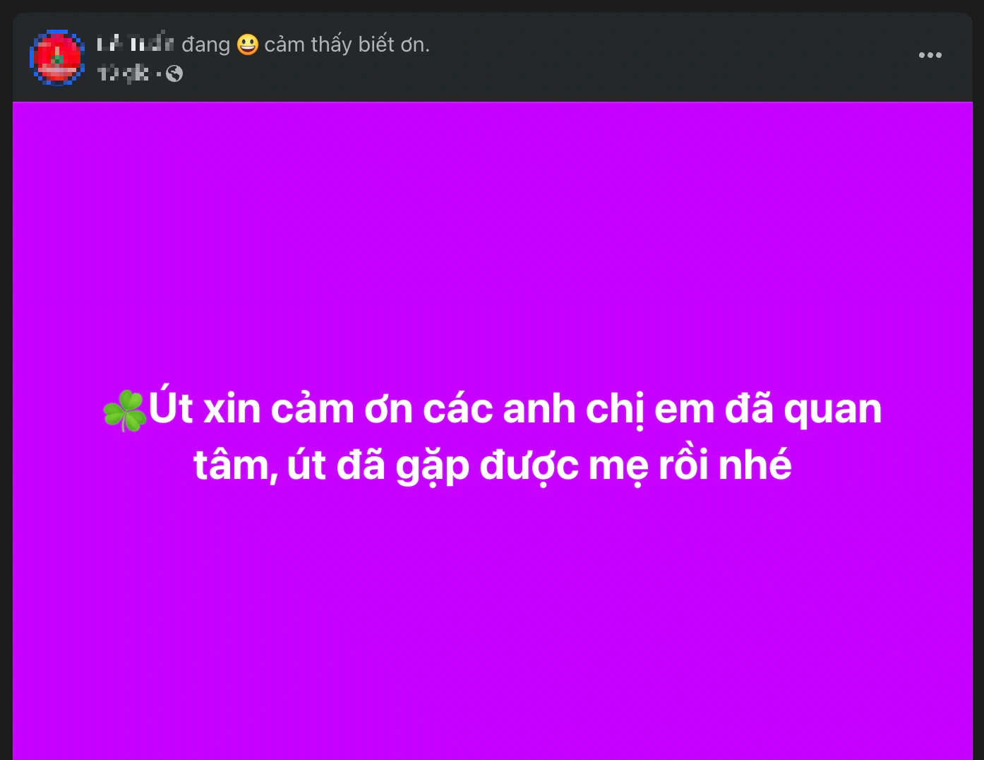 Tìm thấy mẹ già ở TP.HCM ngày cận tết, con trai quá vui mừng- Ảnh 1.