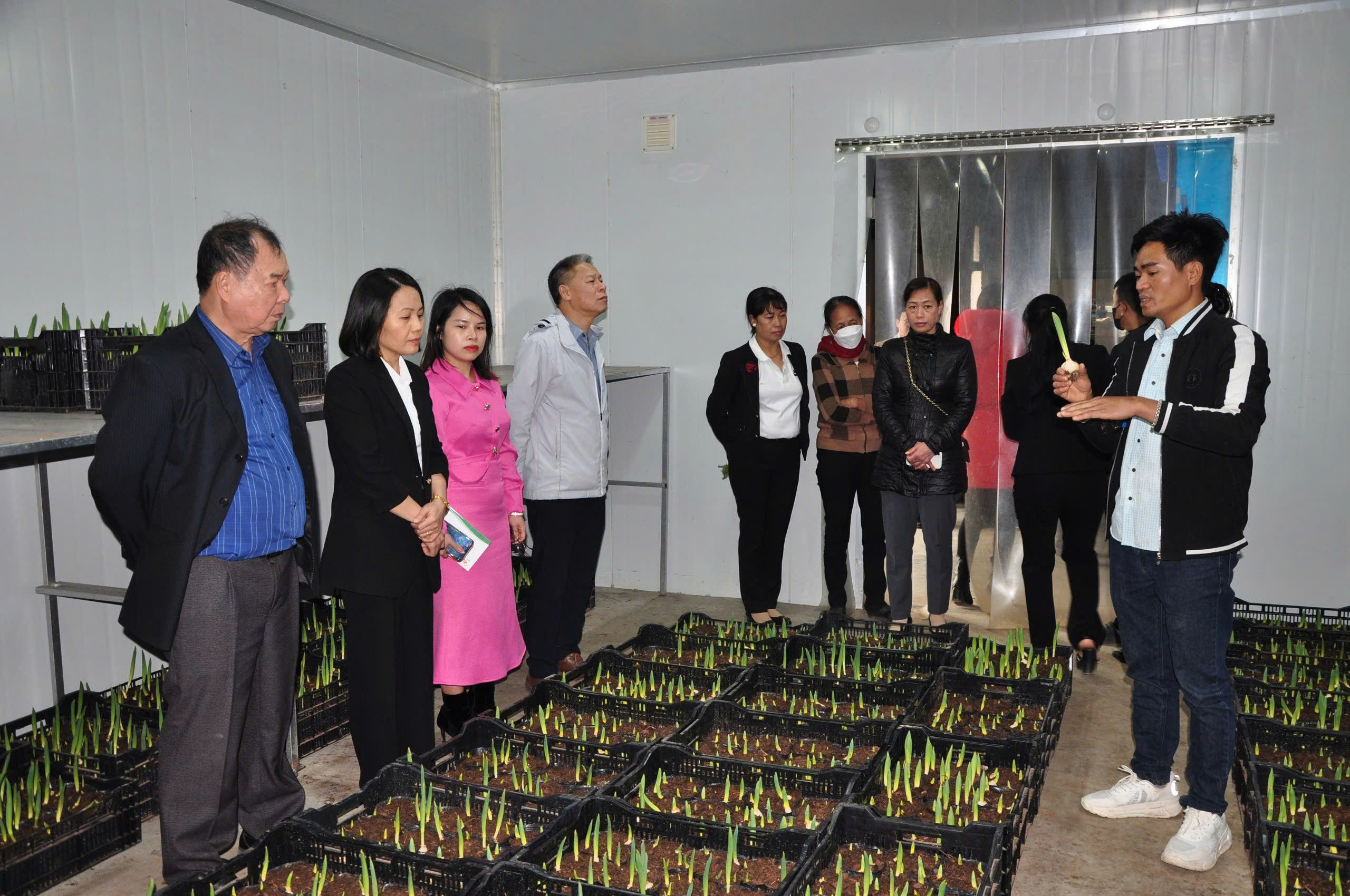 Công ty Toan Vân đưa khoa học công nghệ vào sản xuất hoa quả chất lượng cao- Ảnh 1. Công ty Toan Vân đưa khoa học công nghệ vào sản xuất hoa quả chất lượng cao- Ảnh 1.