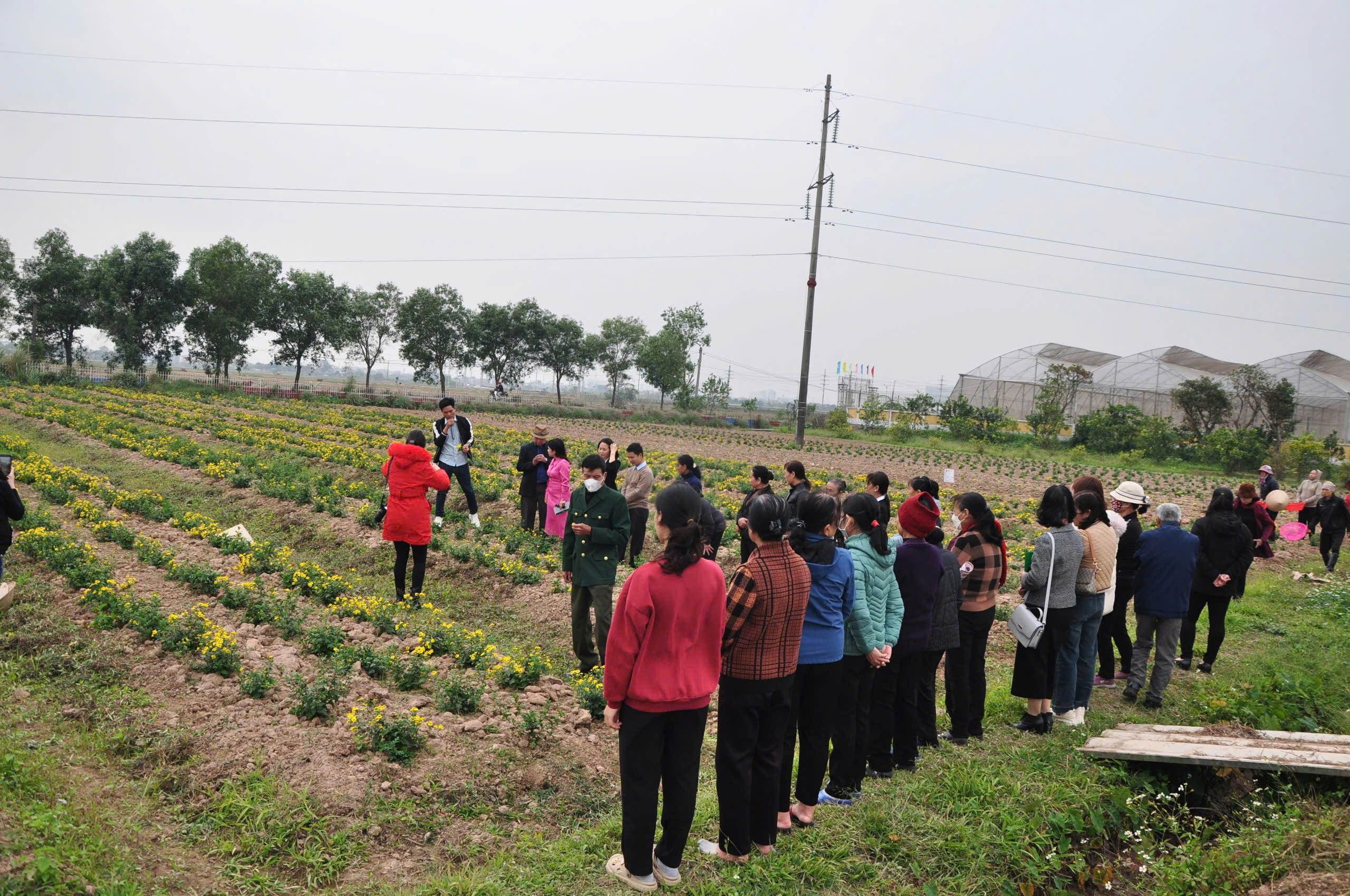 Công ty Toan Vân đưa khoa học công nghệ vào sản xuất hoa quả chất lượng cao- Ảnh 2. Công ty Toan Vân đưa khoa học công nghệ vào sản xuất hoa quả chất lượng cao- Ảnh 2.
