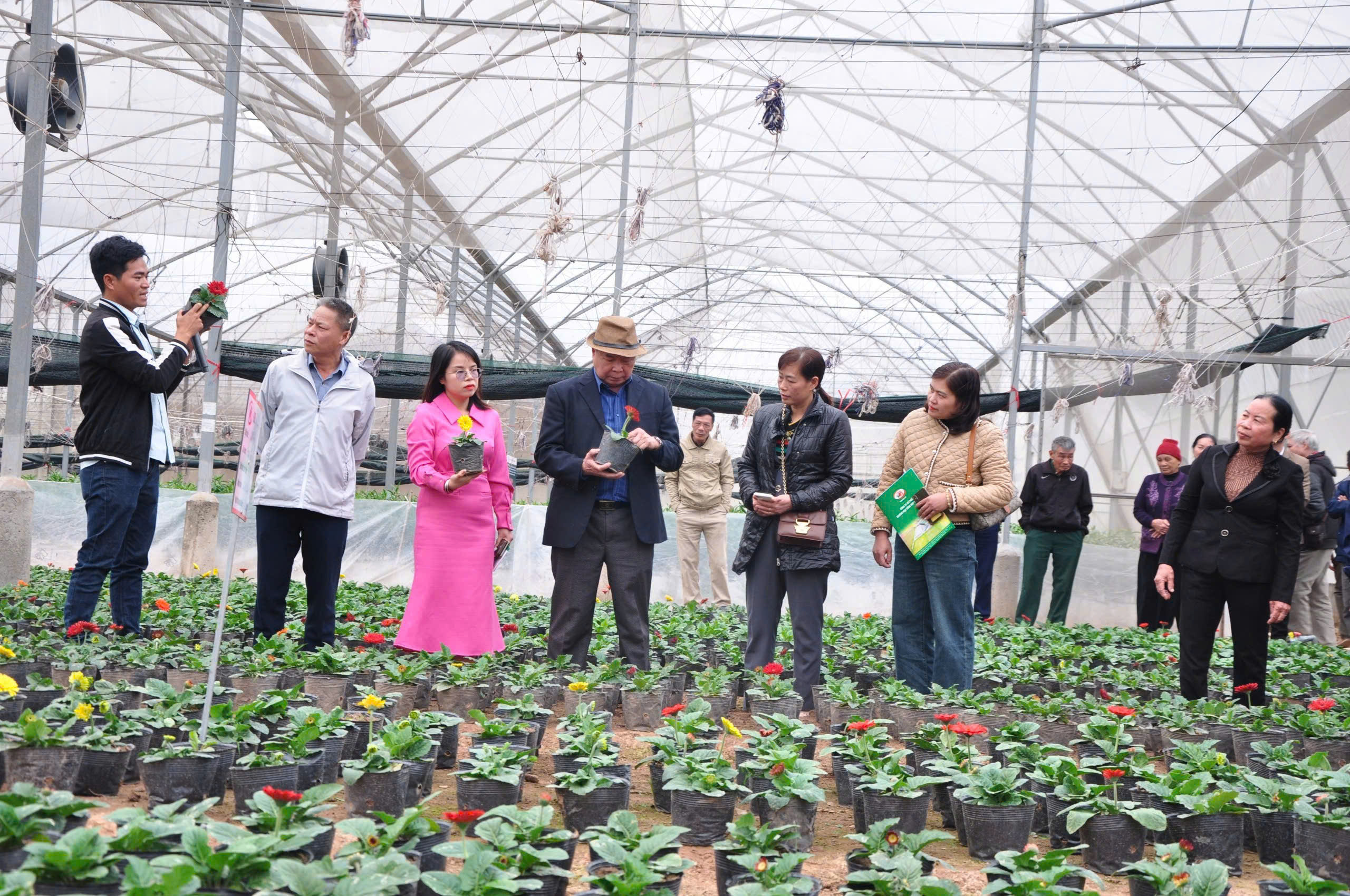 Công ty Toan Vân đưa khoa học công nghệ vào sản xuất hoa quả chất lượng cao- Ảnh 5. Công ty Toan Vân đưa khoa học công nghệ vào sản xuất hoa quả chất lượng cao- Ảnh 5.
