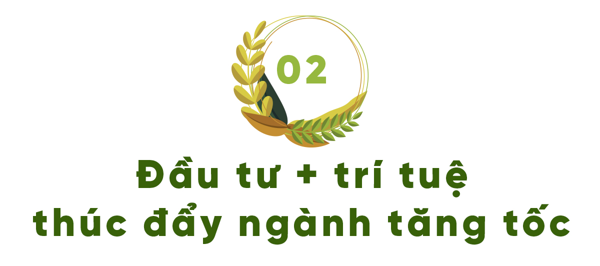 Nông nghiệp bứt phá- Ảnh 5.