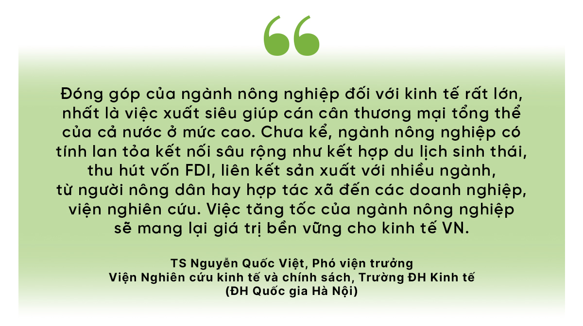 Nông nghiệp bứt phá- Ảnh 8.