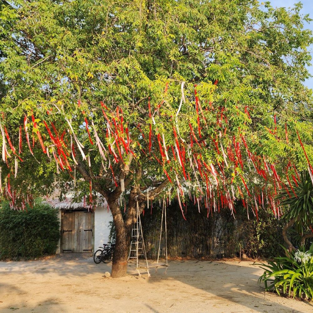 Oppdage det gamle Tet i sjarmerende, moderne rom – Bilde 3. Khám phá tết xưa giữa những không gian đương đại quyến rũ- Ảnh 3.