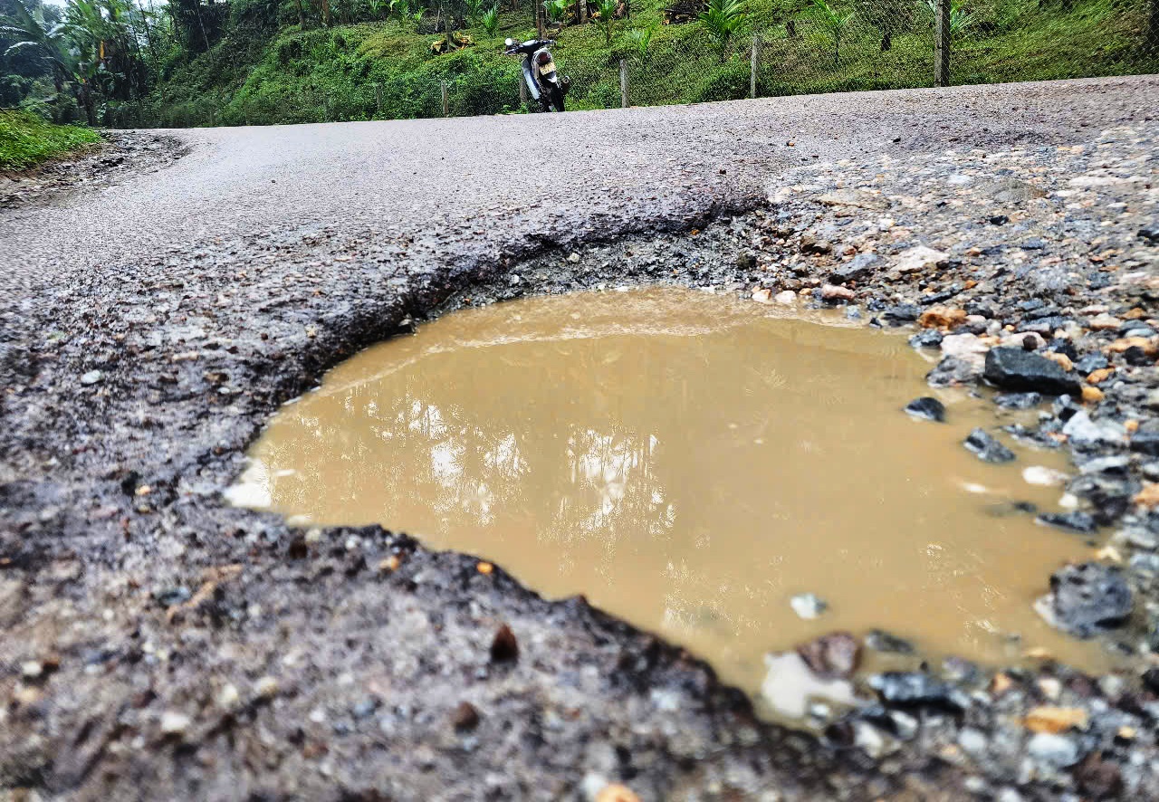 'Bẫy' chi chít tại dự án liên kết vùng miền Trung- Ảnh 11.