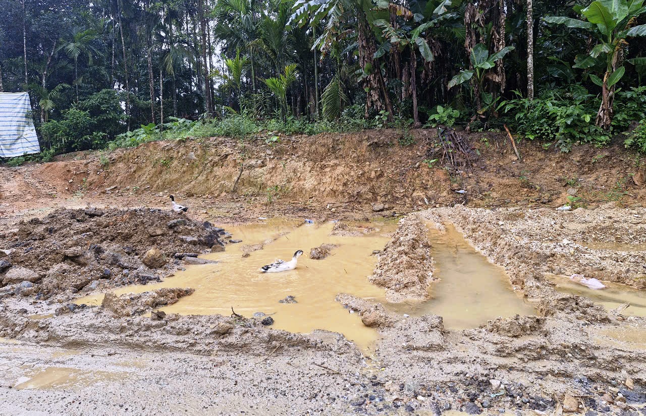 'Bẫy' chi chít tại dự án liên kết vùng miền Trung- Ảnh 5.