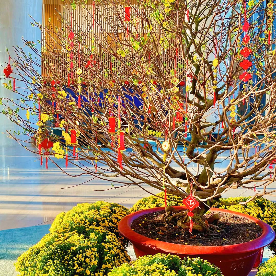 Oppdage det gamle Tet i sjarmerende, moderne rom – Bilde 13. Khám phá tết xưa giữa những không gian đương đại quyến rũ- Ảnh 13.