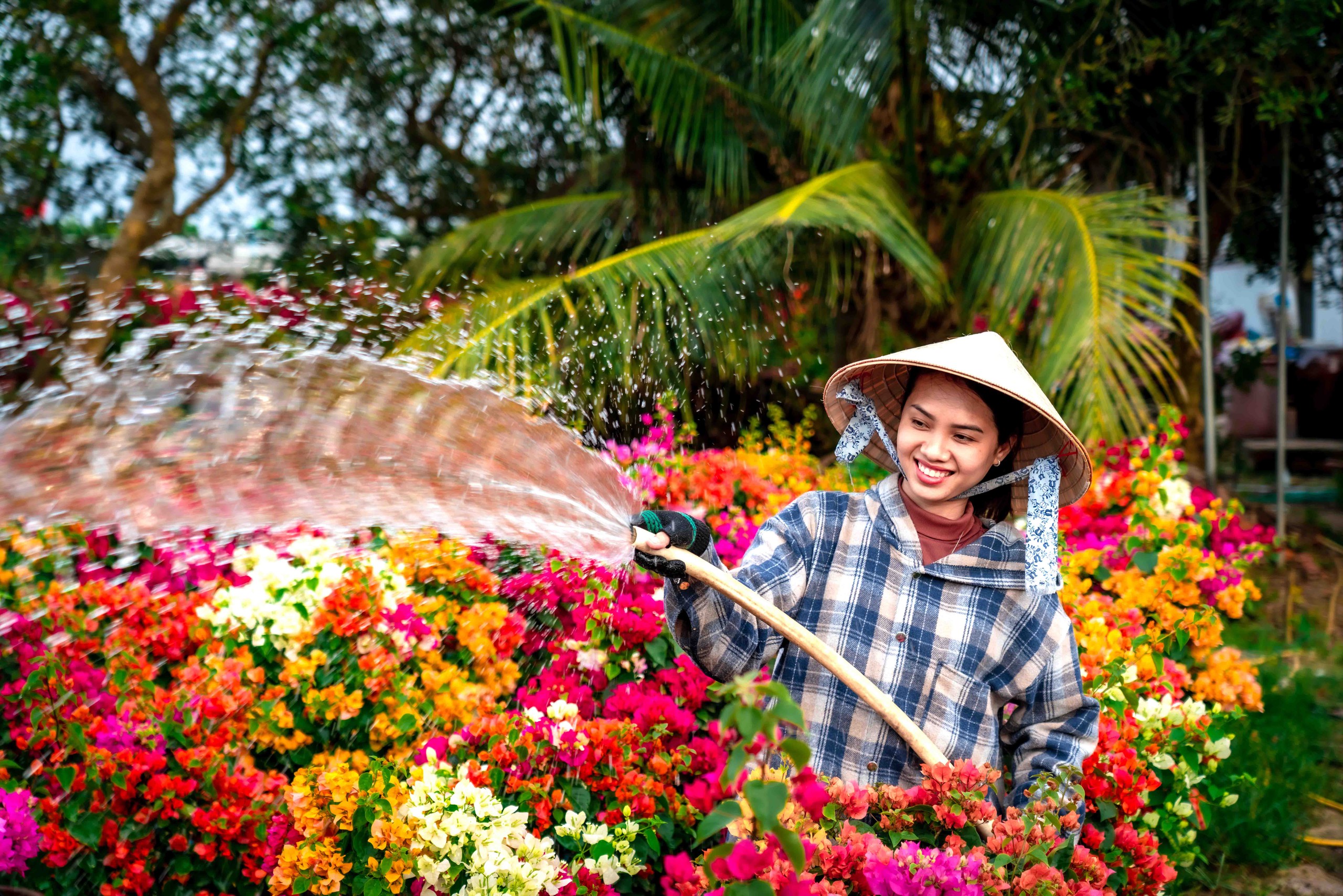 Khám phá làng hoa giấy lớn nhất miền Tây dịp tết về- Ảnh 12.