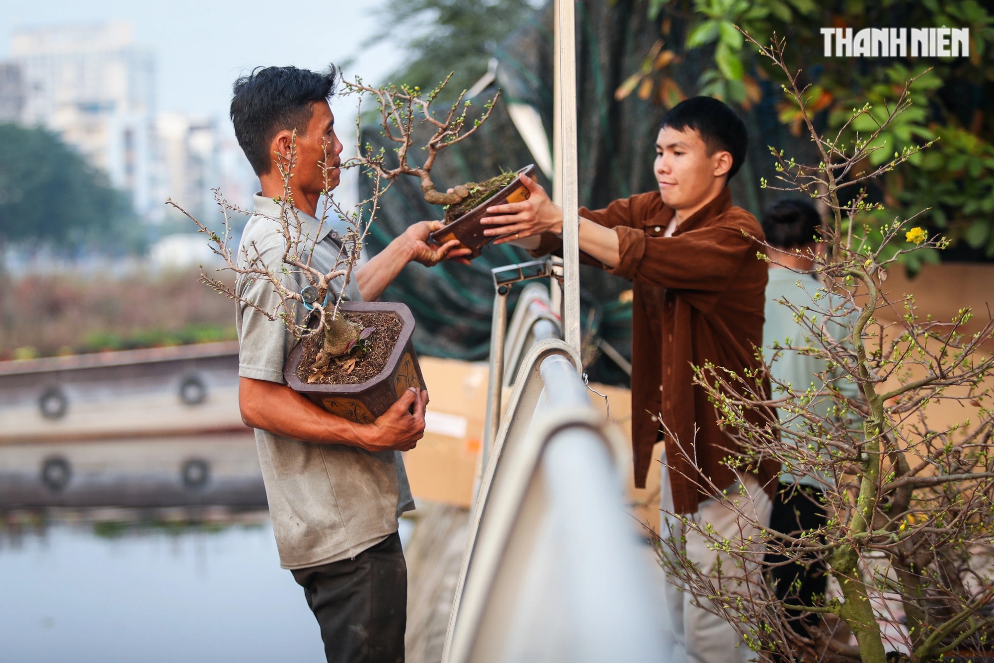 Tấp nập thuyền ghe chở hoa miền Tây cập bến xuân 'Trên bến dưới thuyền'- Ảnh 7.