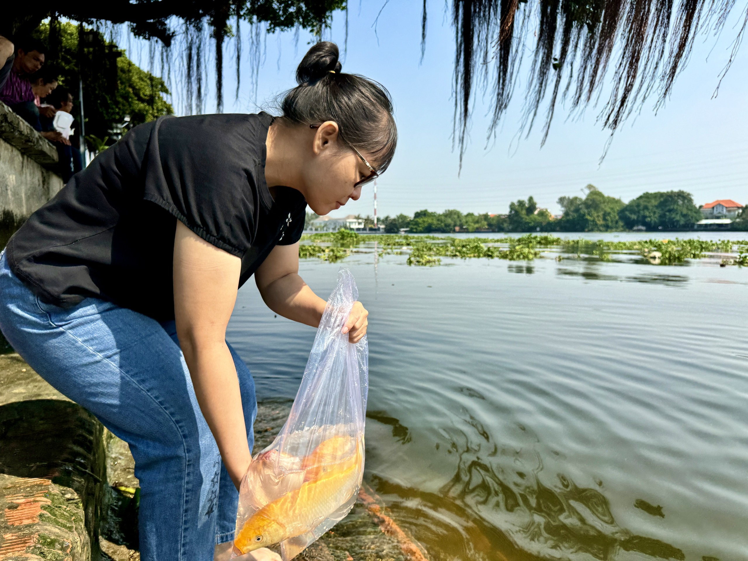 Người dân TP.HCM thả cá chép ngày cúng ông Táo: Không còn sợ cá bị chích điện- Ảnh 3.