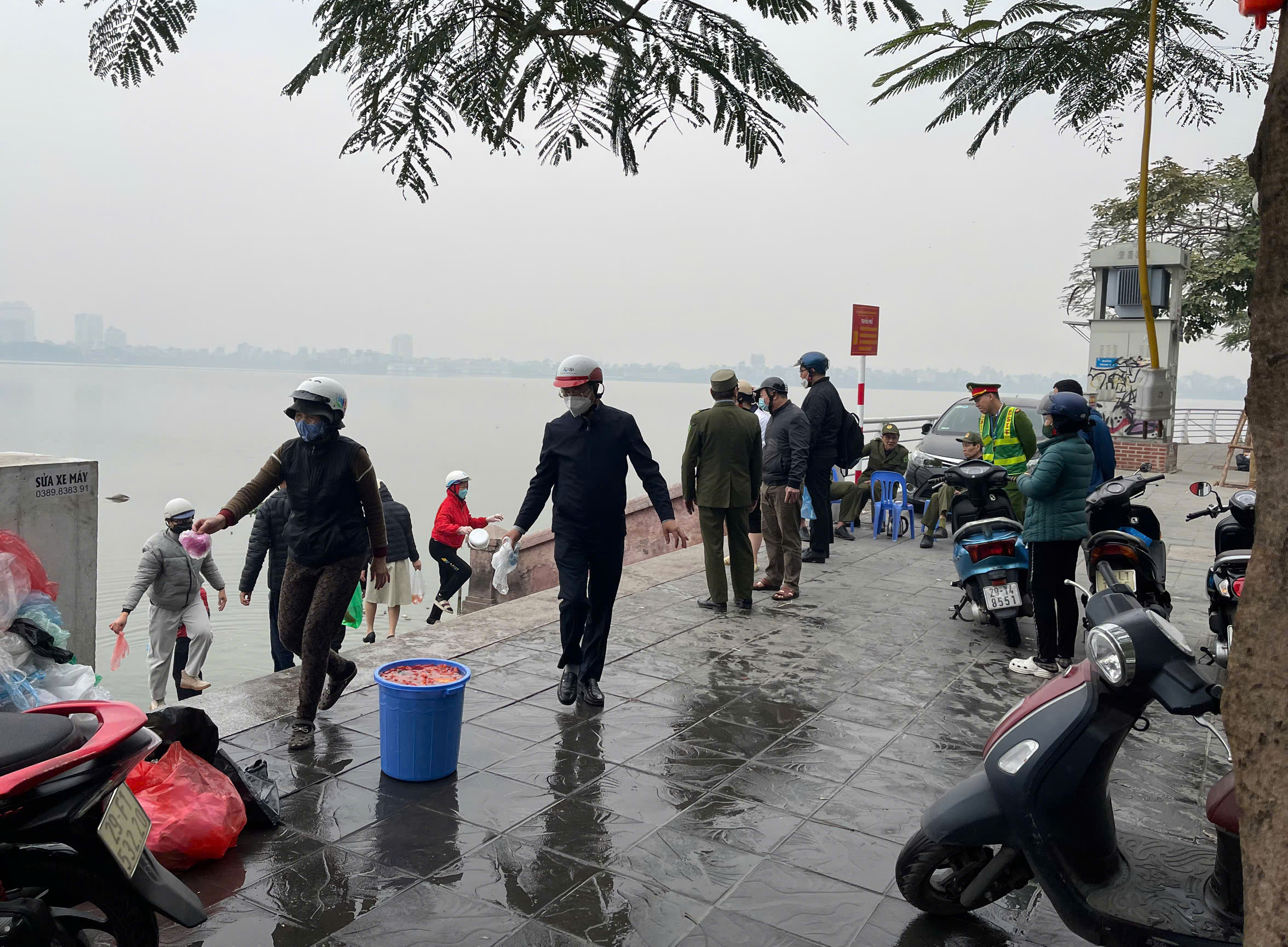 Cá chép vừa phóng sinh xuống hồ Tây đã... ngửa bụng ngày ông Công, ông Táo- Ảnh 9.