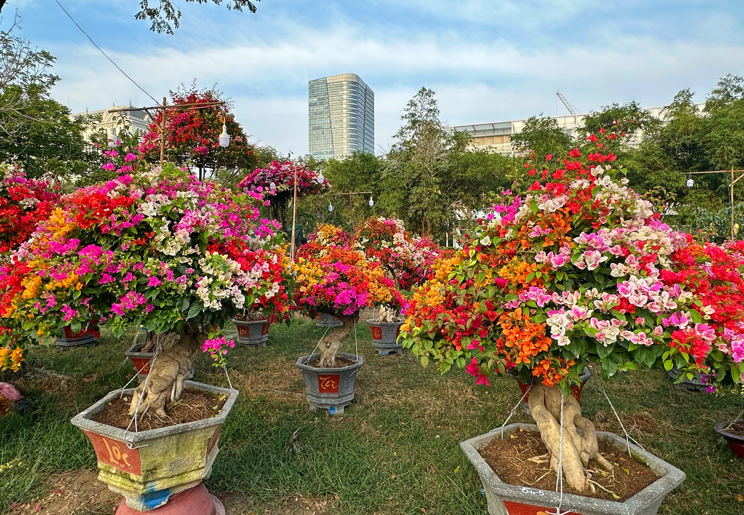 Mang gia tài 7 tỉ đến 'khu nhà giàu' ở TP.HCM: Được khách sộp chốt ngay để chơi Tết- Ảnh 2.