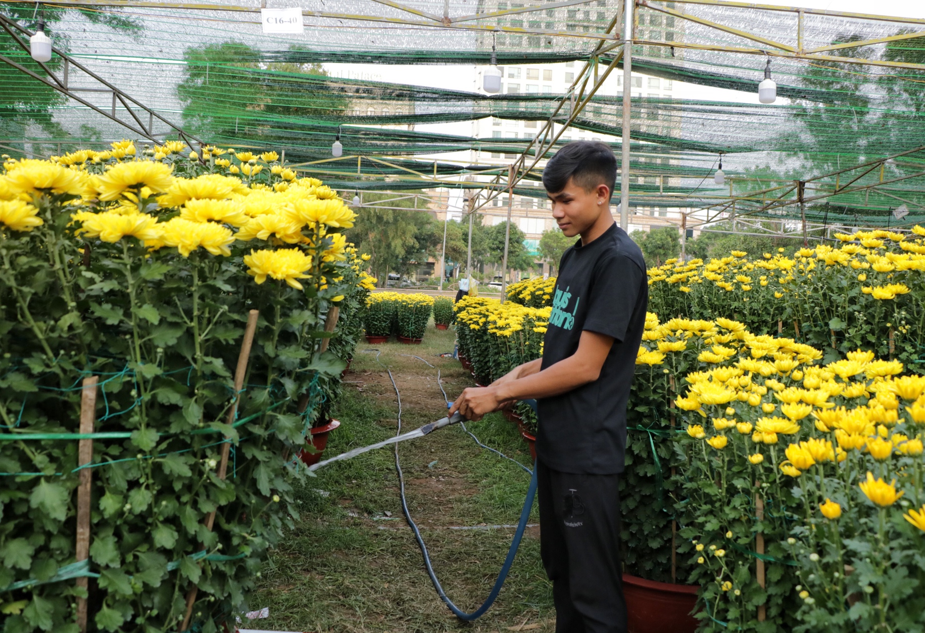 Mang gia tài 7 tỉ đến 'khu nhà giàu' ở TP.HCM: Được khách sộp chốt ngay để chơi Tết- Ảnh 9.