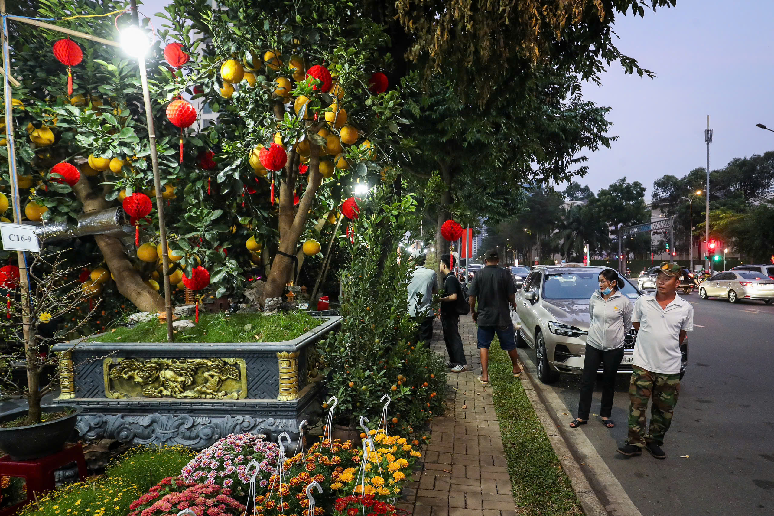 Những chậu hoa tết 'khủng nhất', độc lạ ở chợ hoa nhà giàu Phú Mỹ Hưng thế nào?- Ảnh 8.