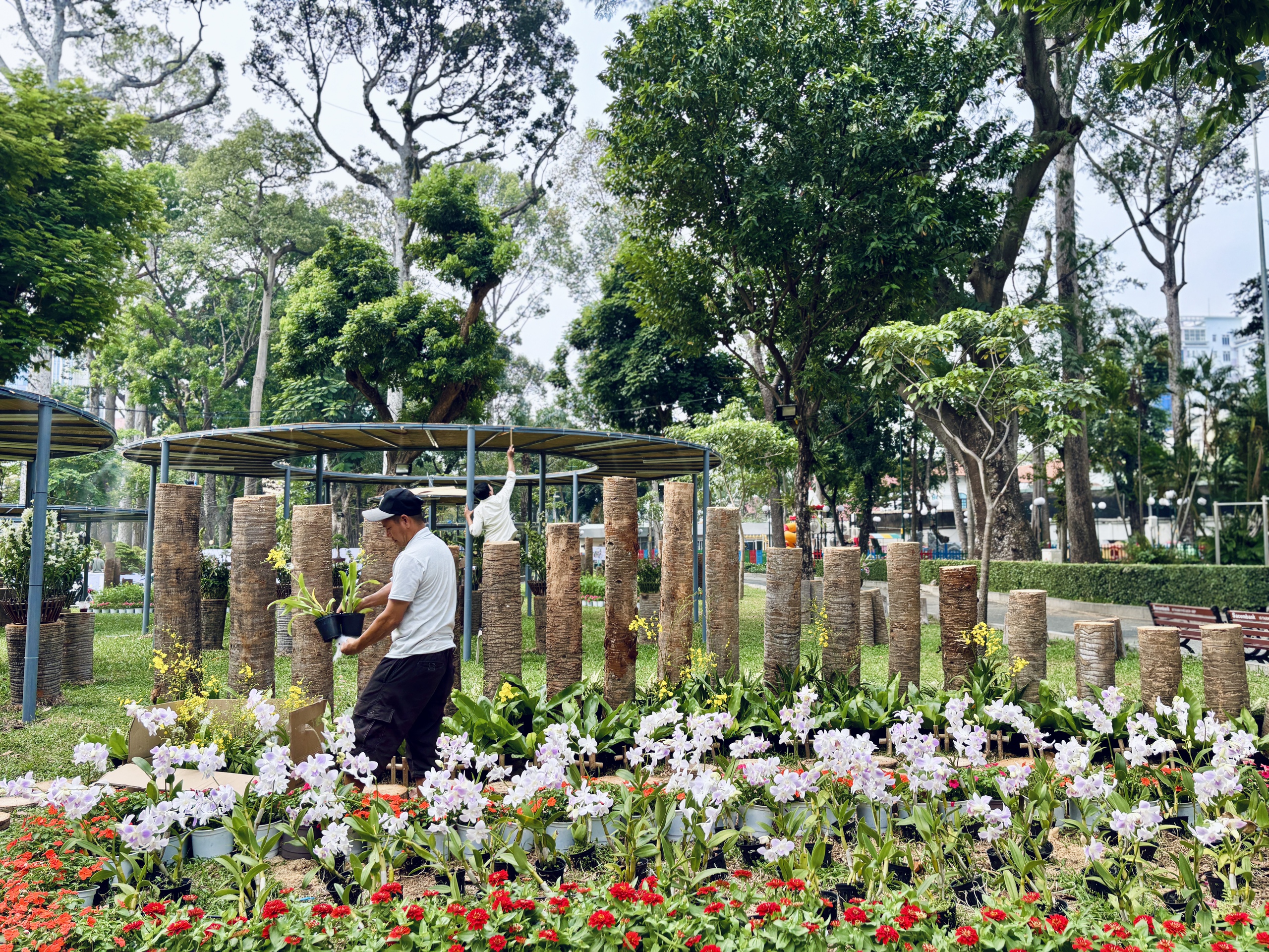 Sau đường hoa Nguyễn Huệ, thêm 'gia đình rắn' có mặt ở Tao Đàn để người dân TP.HCM check-in- Ảnh 10.