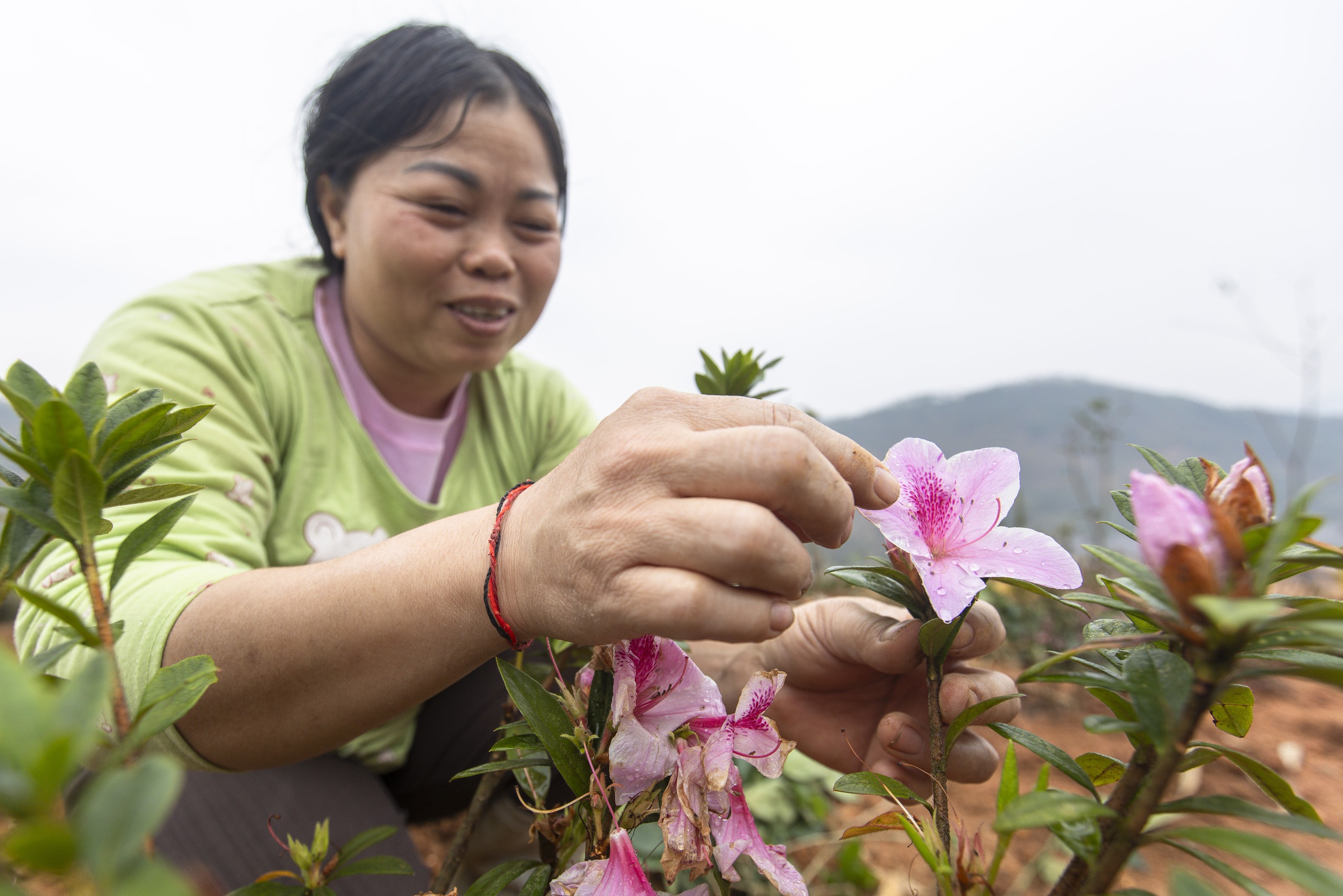 XEM NHANH 20H ngày 3/2: Mùa Xuân mới ở Làng Nủ | Ông Lê Hoài Trung làm Chánh văn phòng T.Ư Đảng- Ảnh 4.