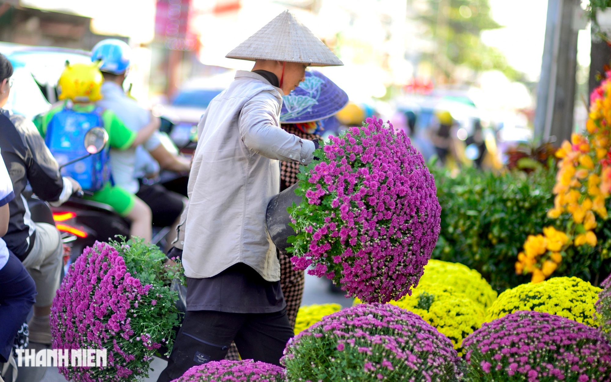 Chợ hoa tết mua lẻ với giá sỉ ở TP.HCM, bạn biết chưa?- Ảnh 13.