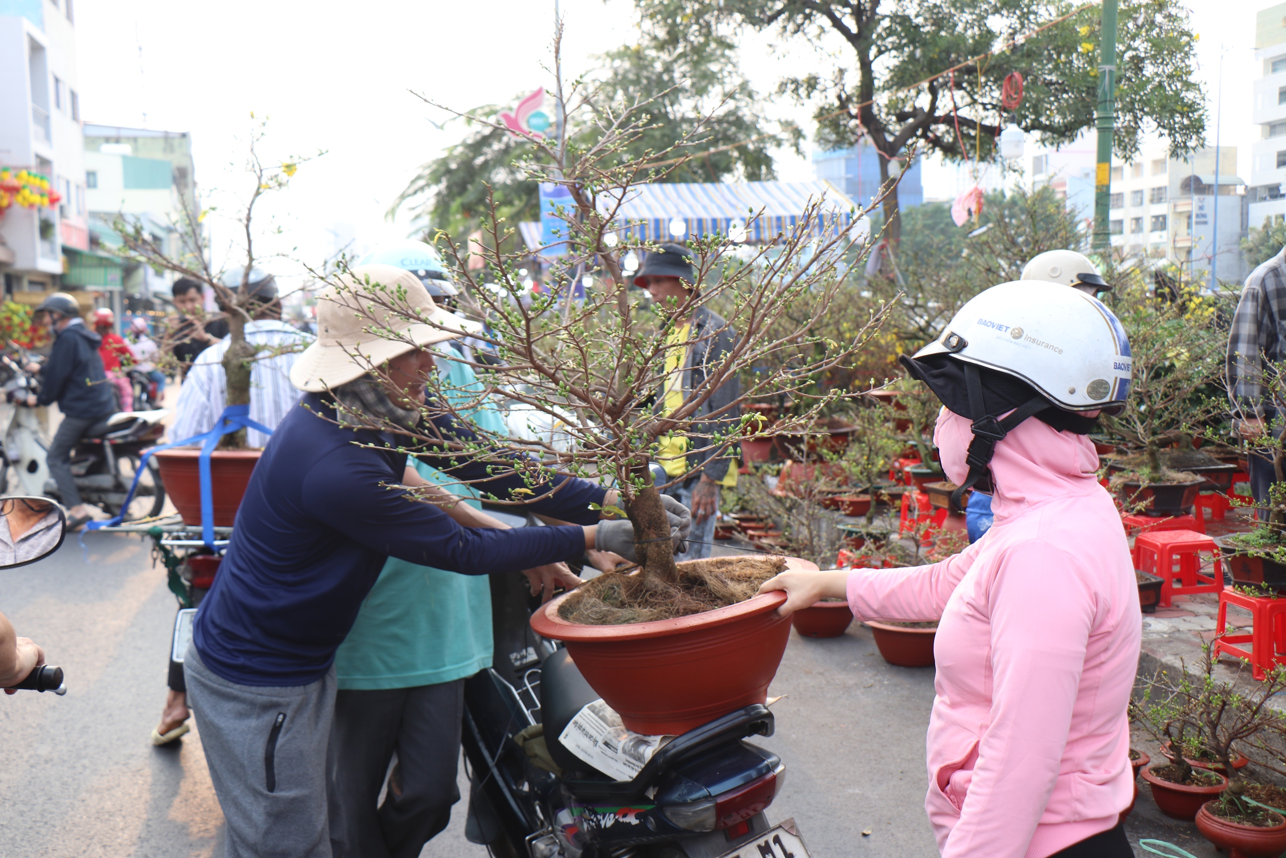 TP.HCM: Rực rỡ chợ hoa tết Trên bến dưới thuyền Bến Bình Đông- Ảnh 18.