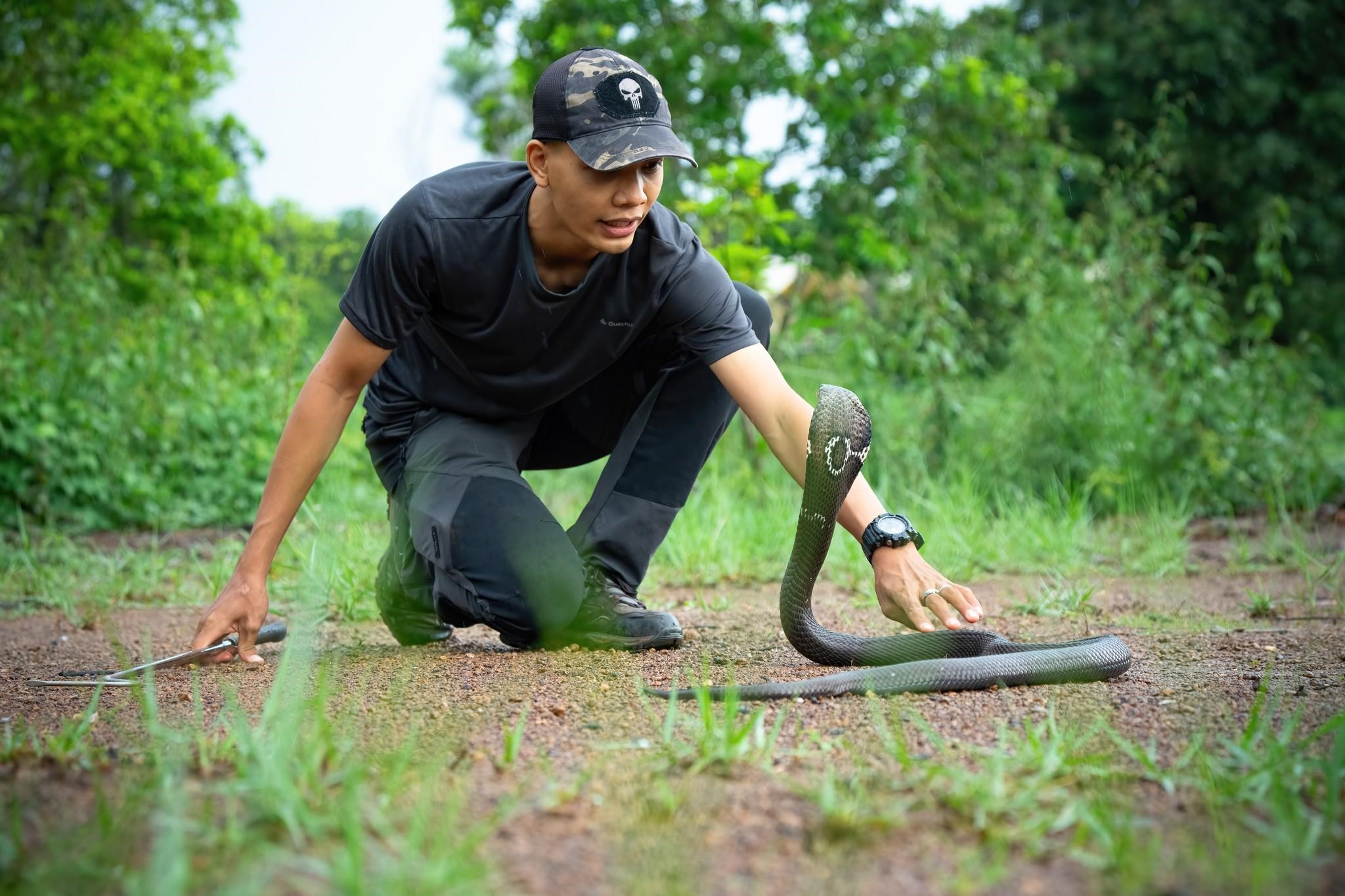 Những tình nguyện viên vì sự an toàn của người và rắn