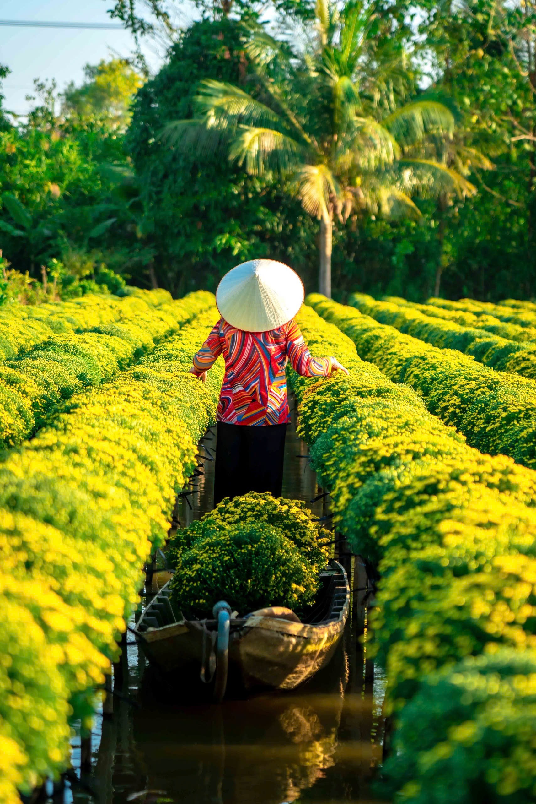 Bên trong làng hoa tết độc đáo nhất miền Tây- Ảnh 13.