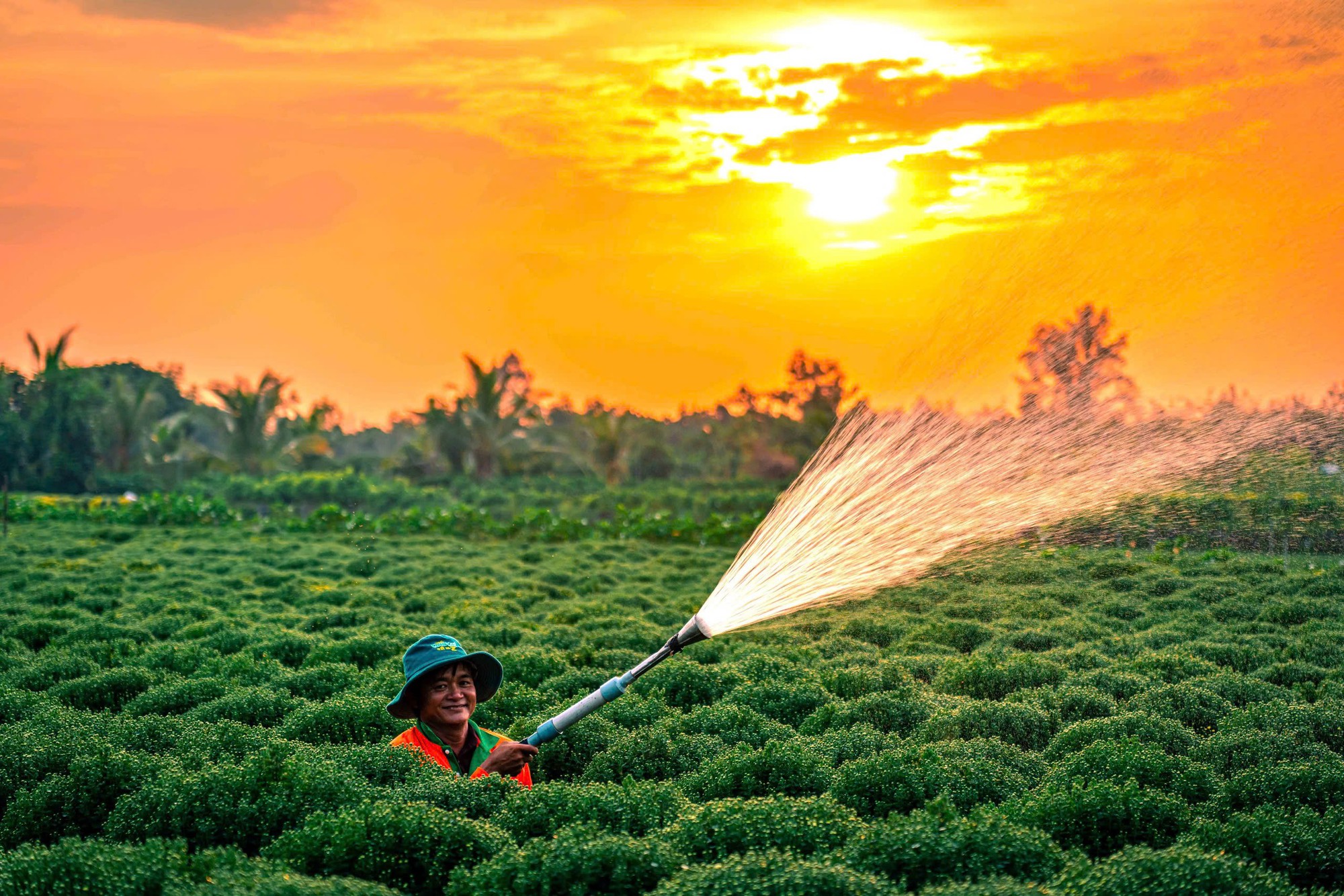 Bên trong làng hoa tết độc đáo nhất miền Tây- Ảnh 5.