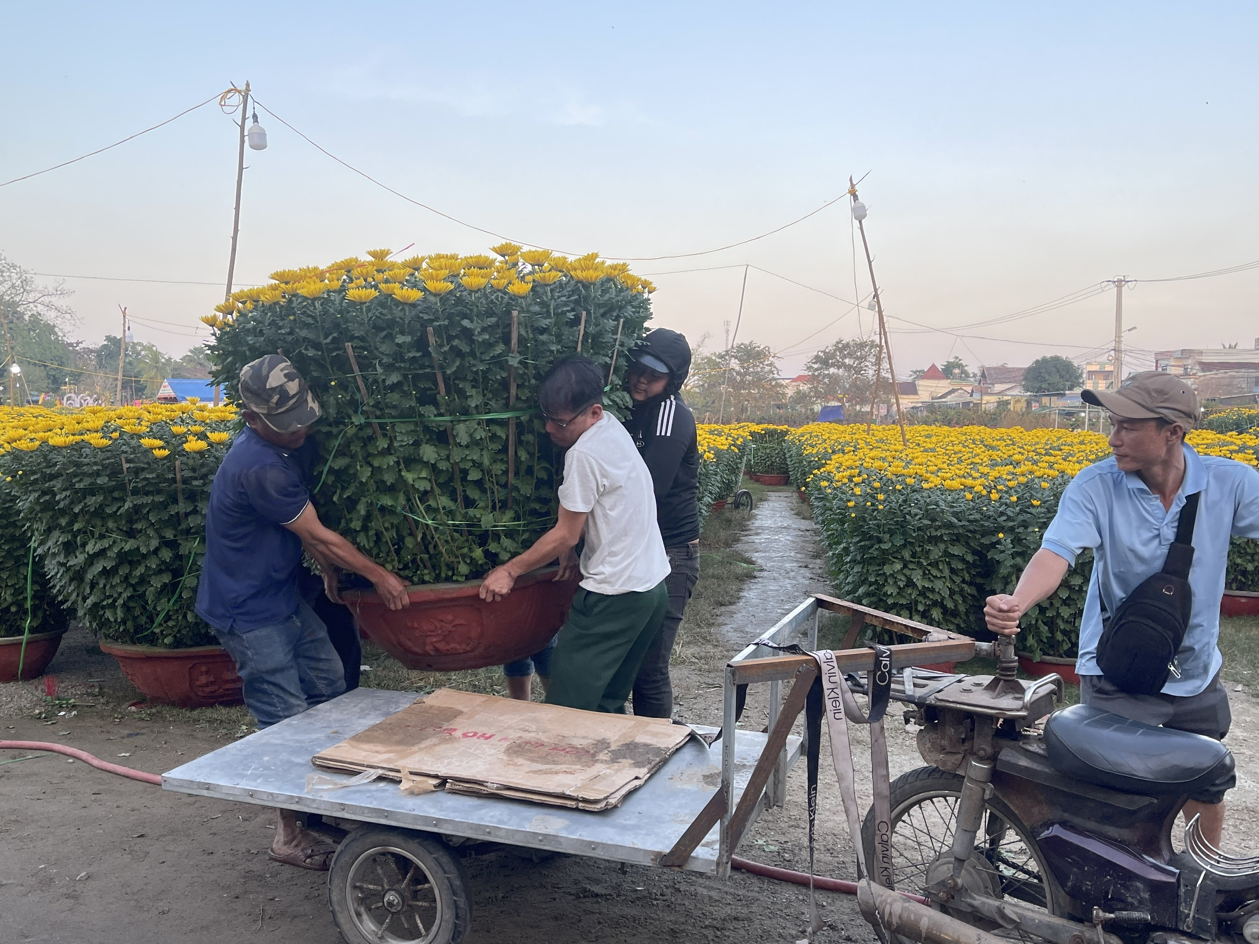 Chợ hoa năm nay người bán nhiều hơn khách mua, tiểu thương lo sợ- Ảnh 7.