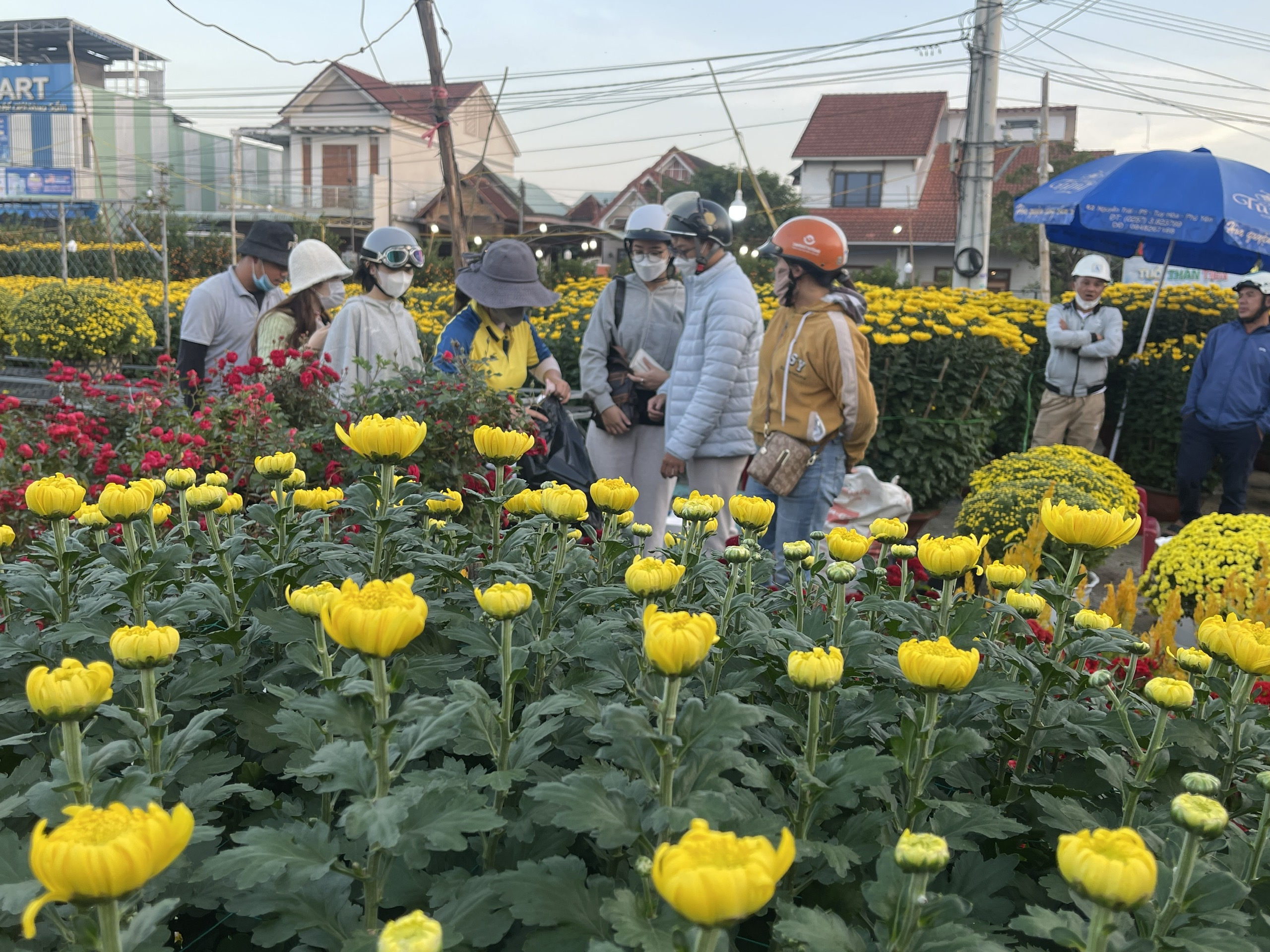 Chợ hoa năm nay người bán nhiều hơn khách mua, tiểu thương lo sợ- Ảnh 6.