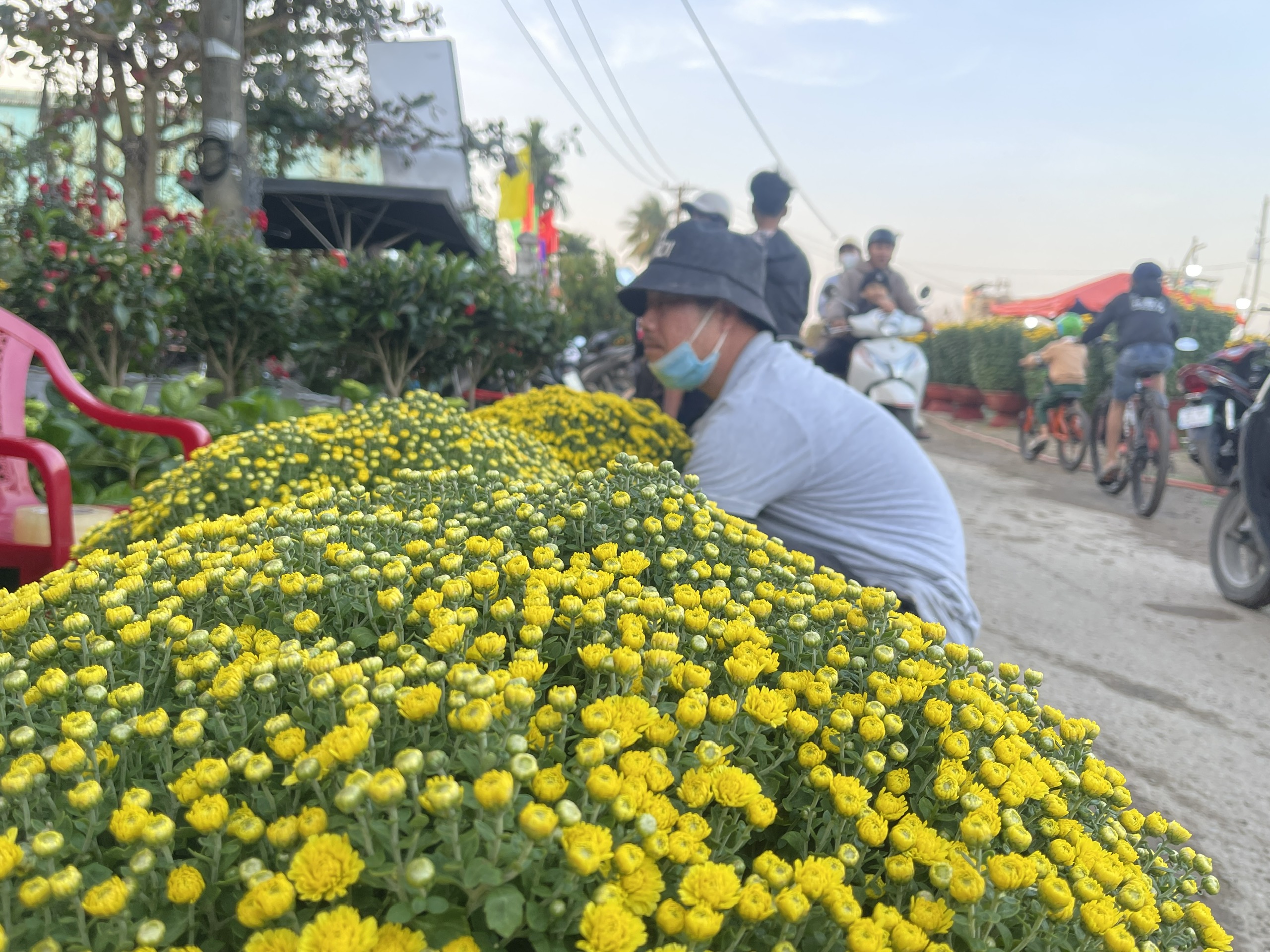 Chợ hoa năm nay người bán nhiều hơn khách mua, tiểu thương lo sợ- Ảnh 11.