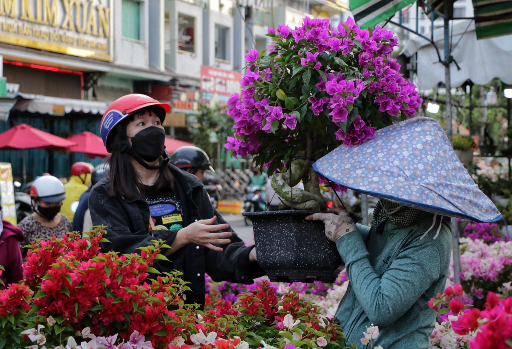 Khóc cười bán hoa tết ở TP.HCM: Vì sao có người mua 'không thèm' trả giá?- Ảnh 2.