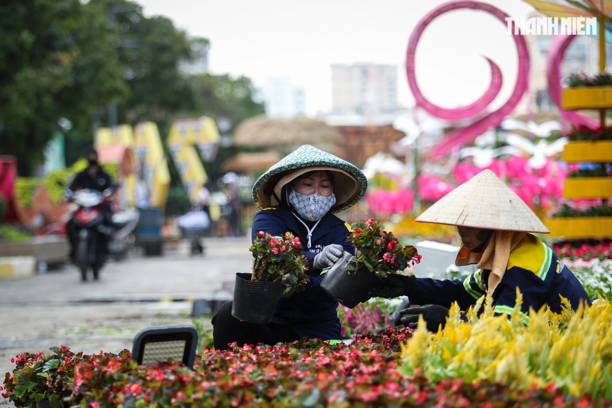 Cận cảnh 'trùm cuối' rắn đeo khăn rằn đội nón lá tại đường hoa Nguyễn Huệ- Ảnh 6.