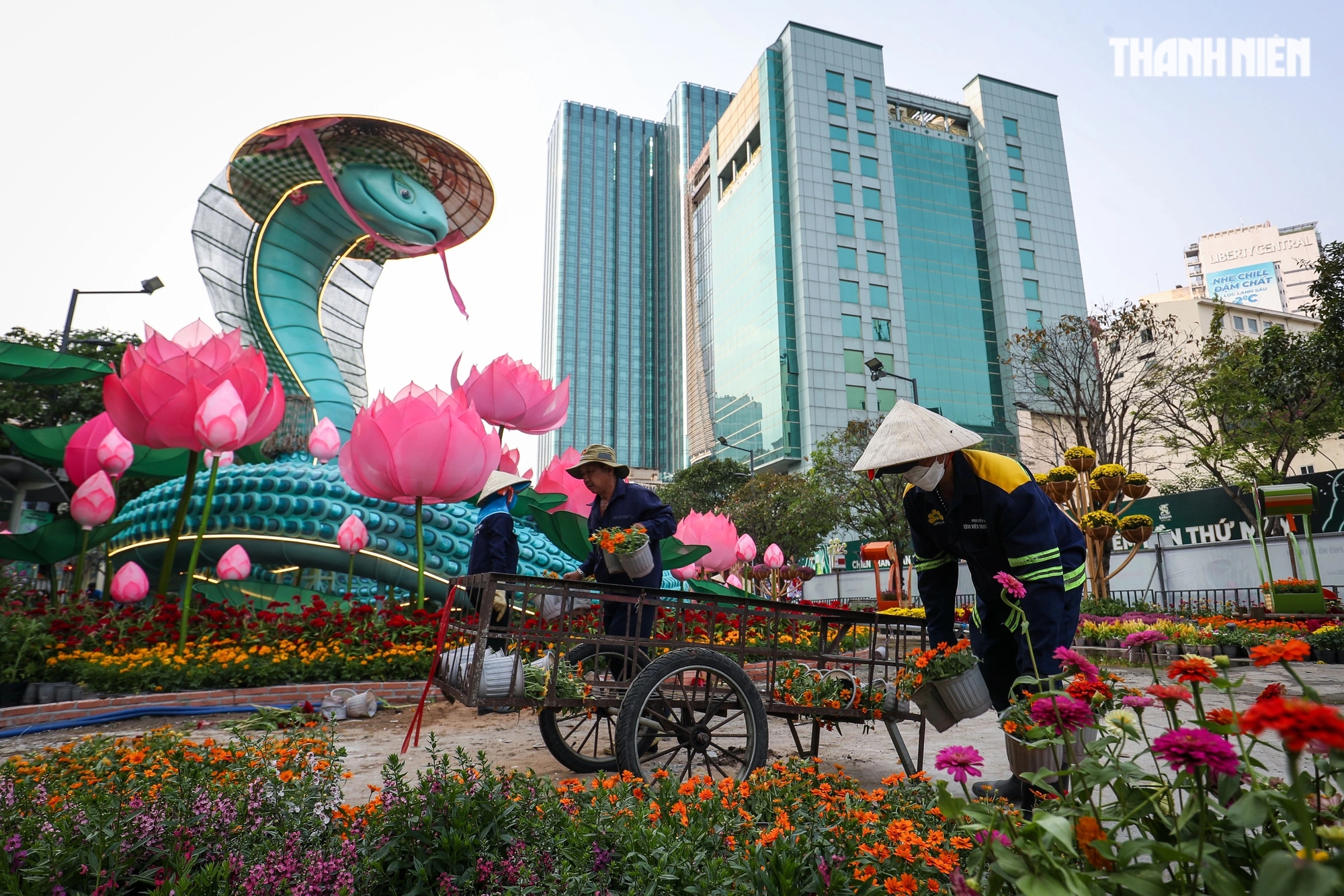 Cận cảnh 'trùm cuối' rắn đeo khăn rằn đội nón lá tại đường hoa Nguyễn Huệ- Ảnh 5.