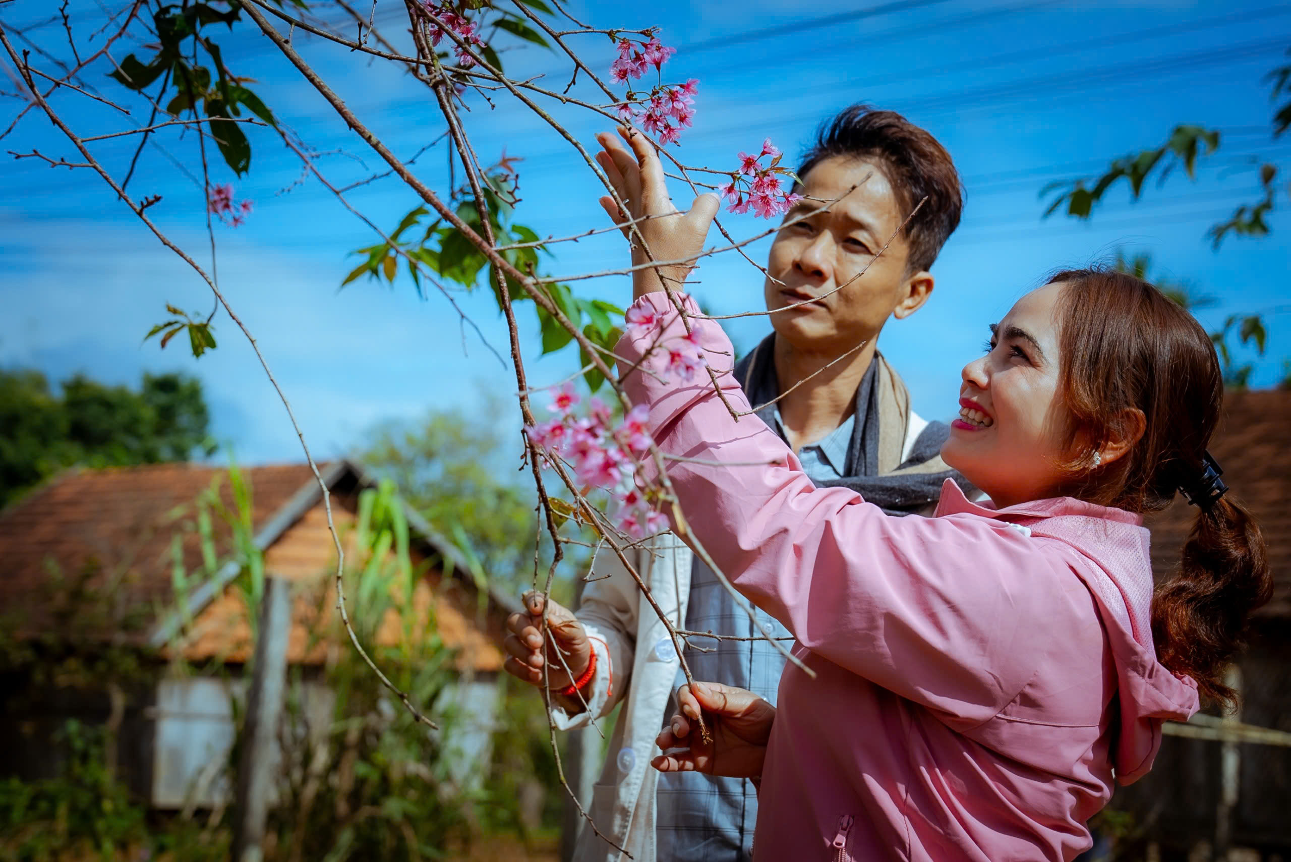 Hoa đào khoe sắc trên núi cao 800 m ở Bình Định- Ảnh 3.