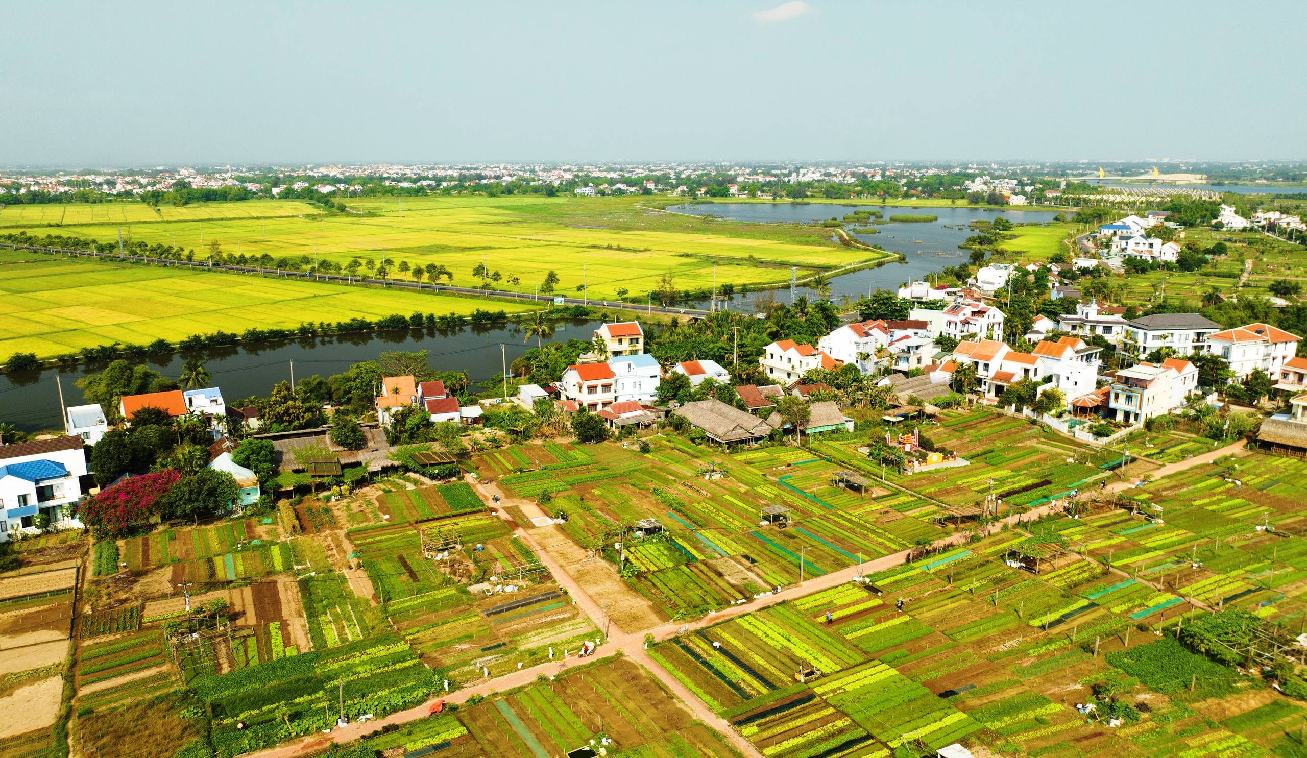 Du xuân ở làng rau di sản, khách Tây hào hứng 'hóa thân' thành nông dân- Ảnh 1.