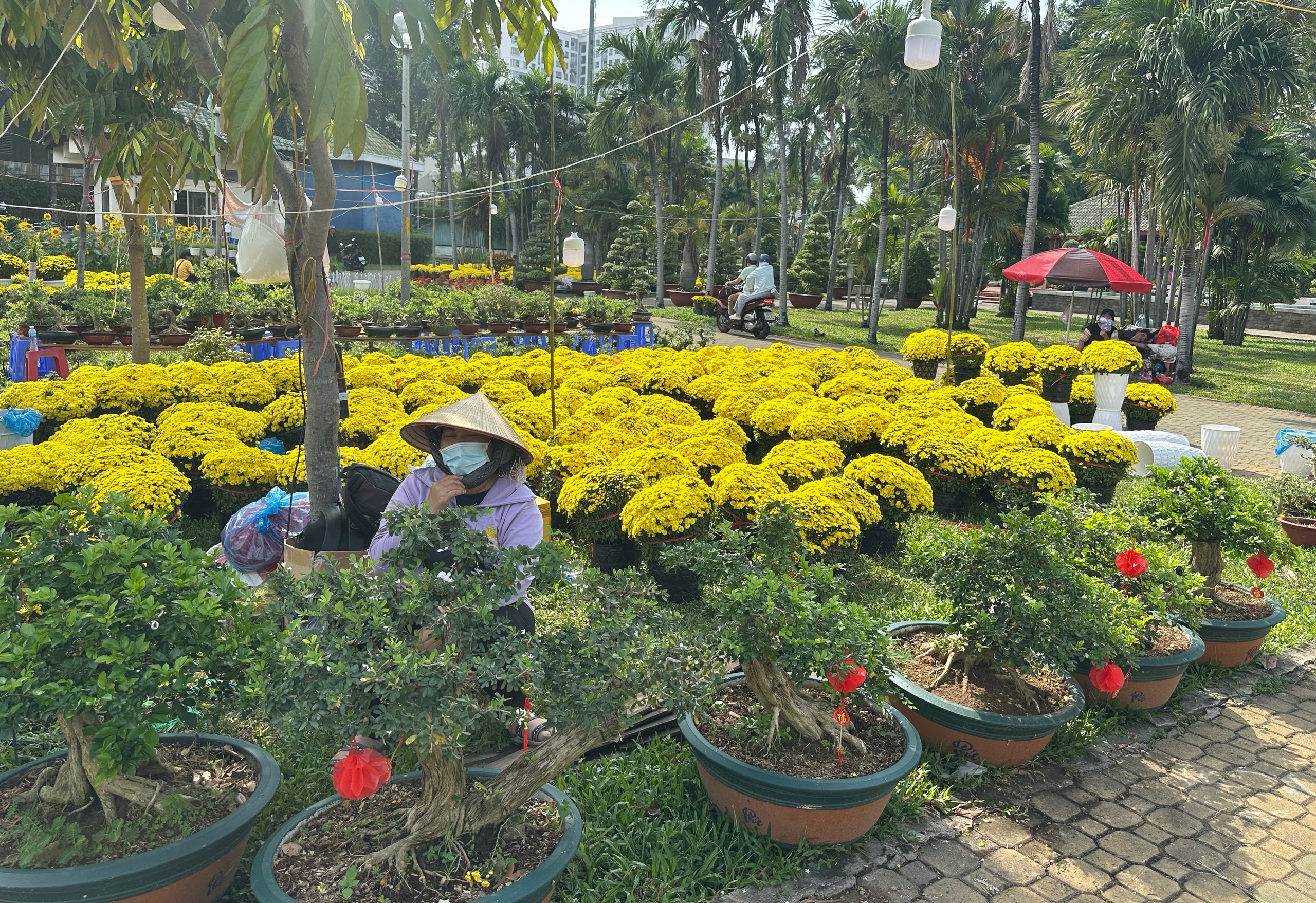 Chiều 28 tết, chợ hoa ở TP.HCM đại hạ giá: 'Không muốn đón giao thừa như năm ngoái'- Ảnh 3.