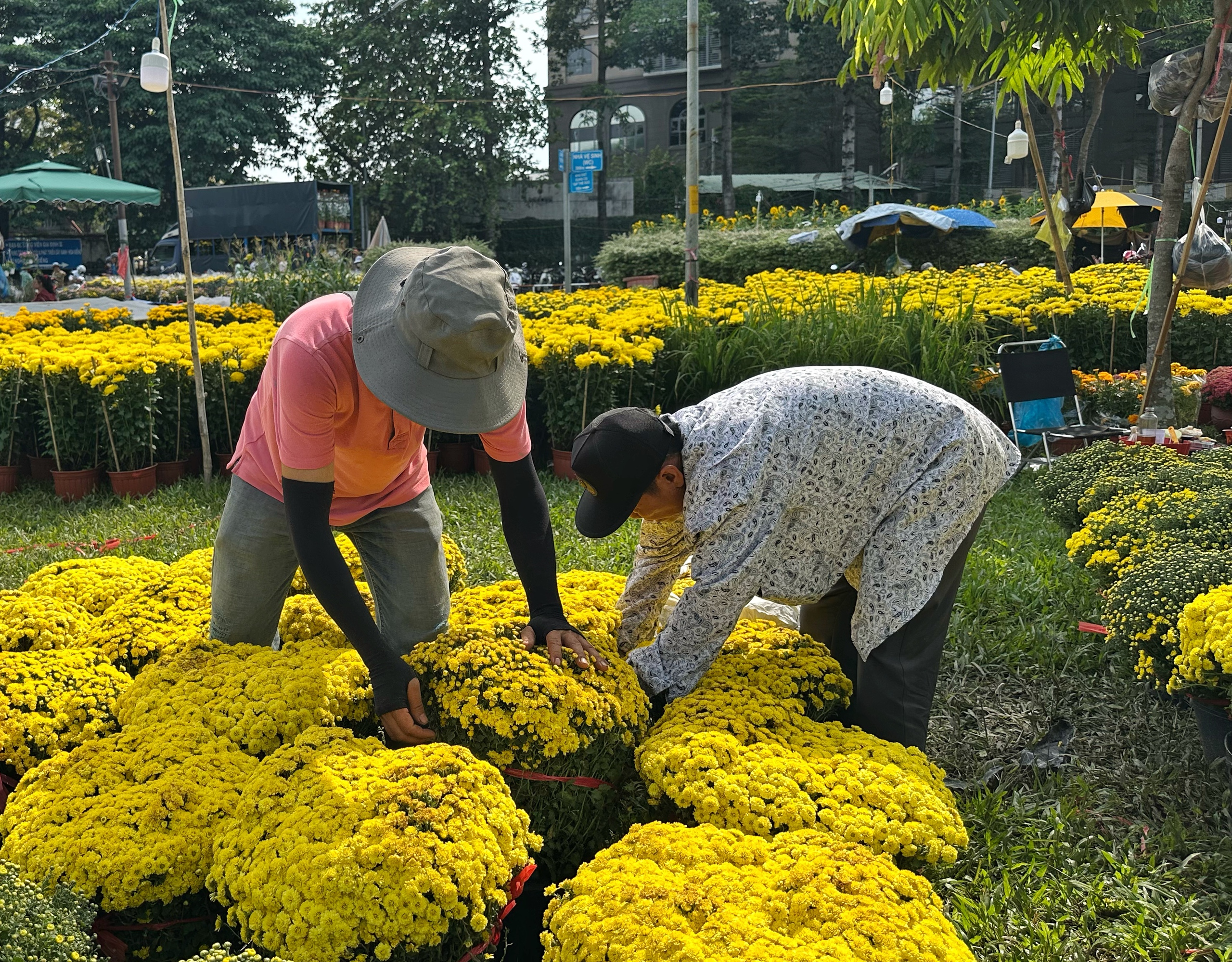 Chiều 28 tết, chợ hoa ở TP.HCM đại hạ giá: 'Không muốn đón giao thừa như năm ngoái'- Ảnh 2.