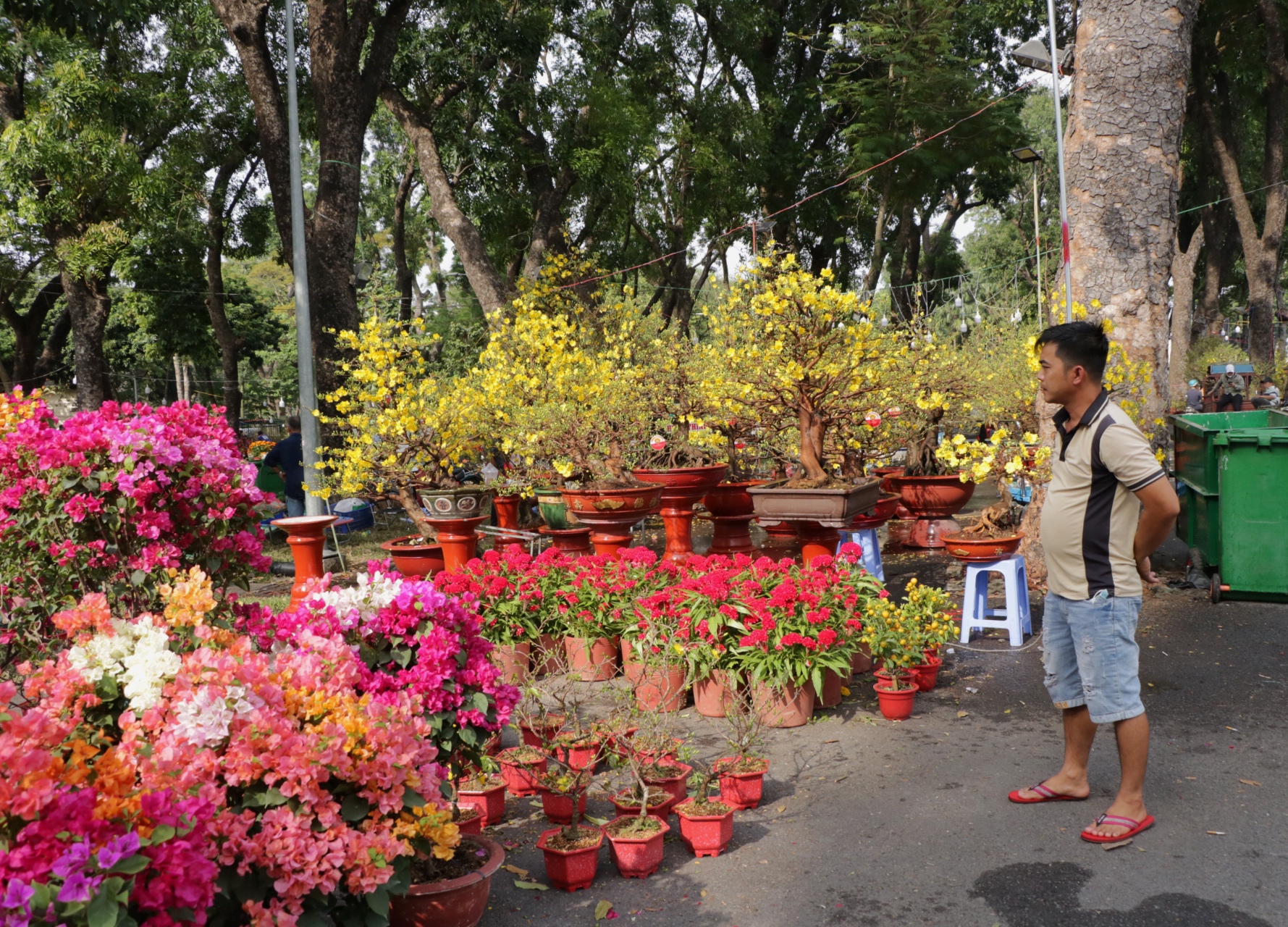 Khóc cười bán hoa tết ở TP.HCM: 'Giao thừa, thà đập bỏ hơn bán giá rẻ mạt!'- Ảnh 6.