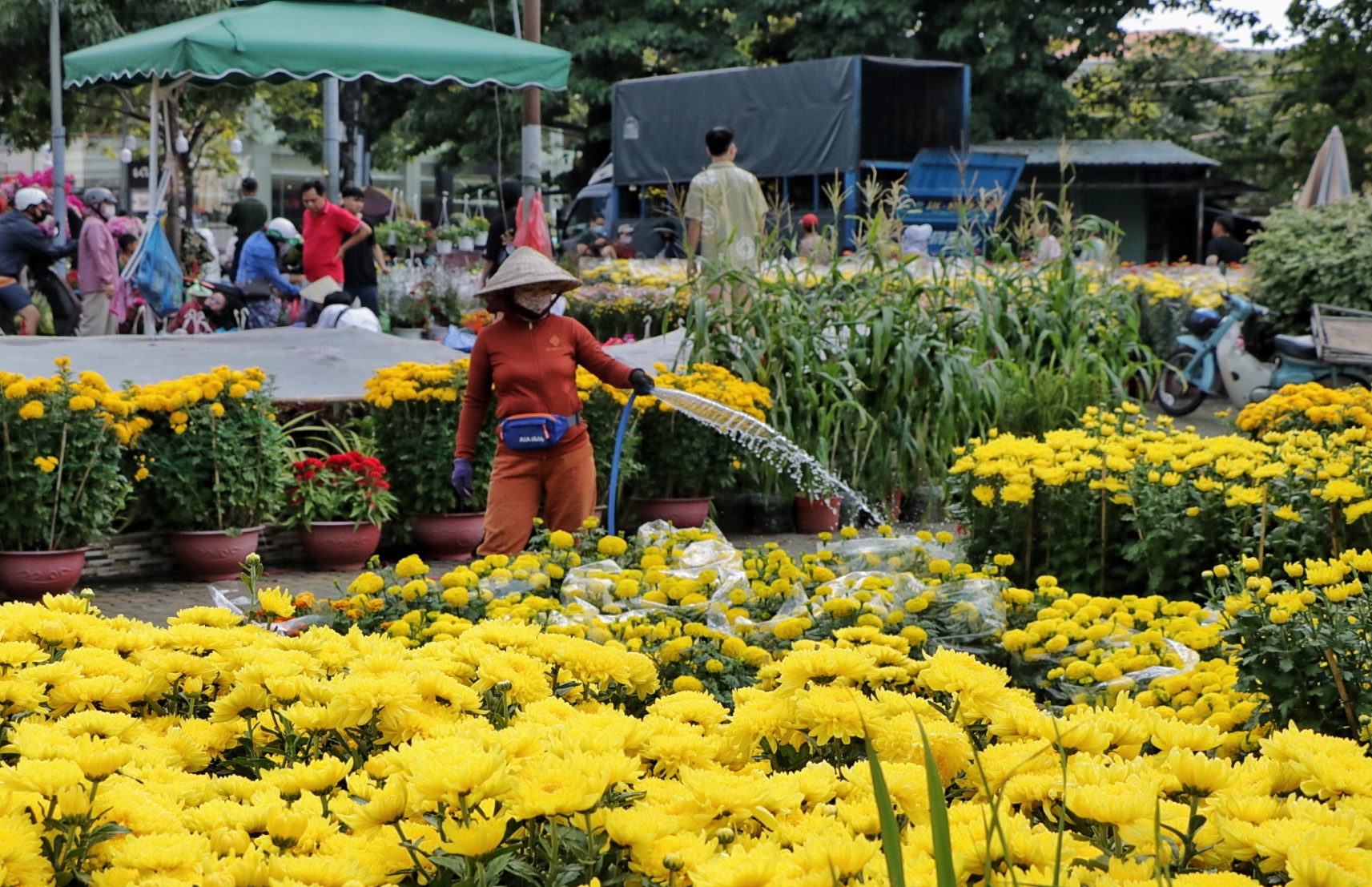 Khóc cười bán hoa tết ở TP.HCM: 'Giao thừa, thà đập bỏ hơn bán giá rẻ mạt!'- Ảnh 1.