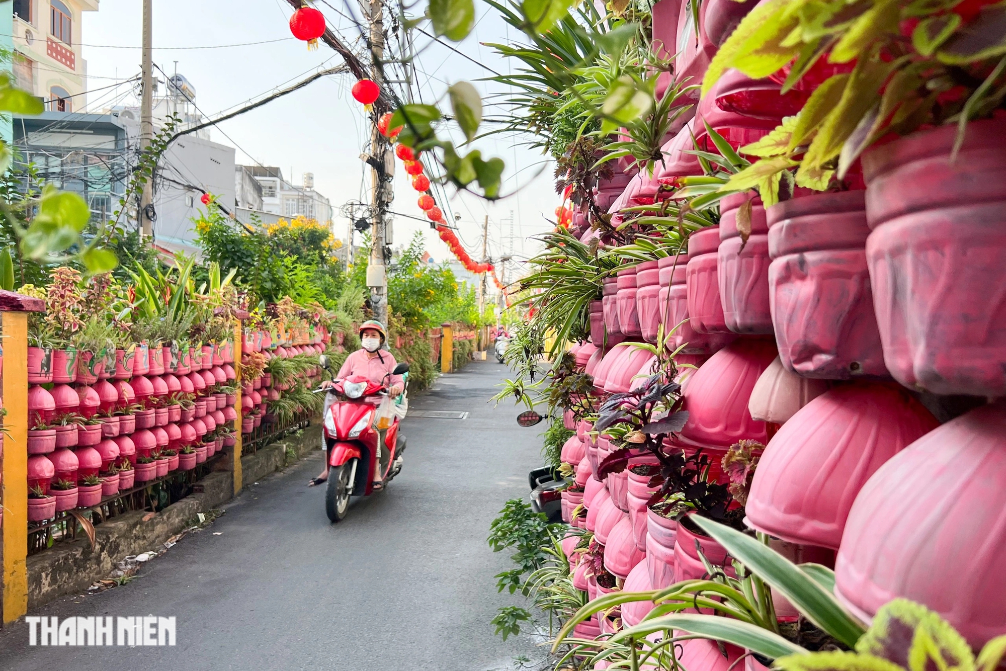 28 tết, chủ căn nhà màu hồng ở TP.HCM vẫn miệt mài tạo điều bất ngờ- Ảnh 3.