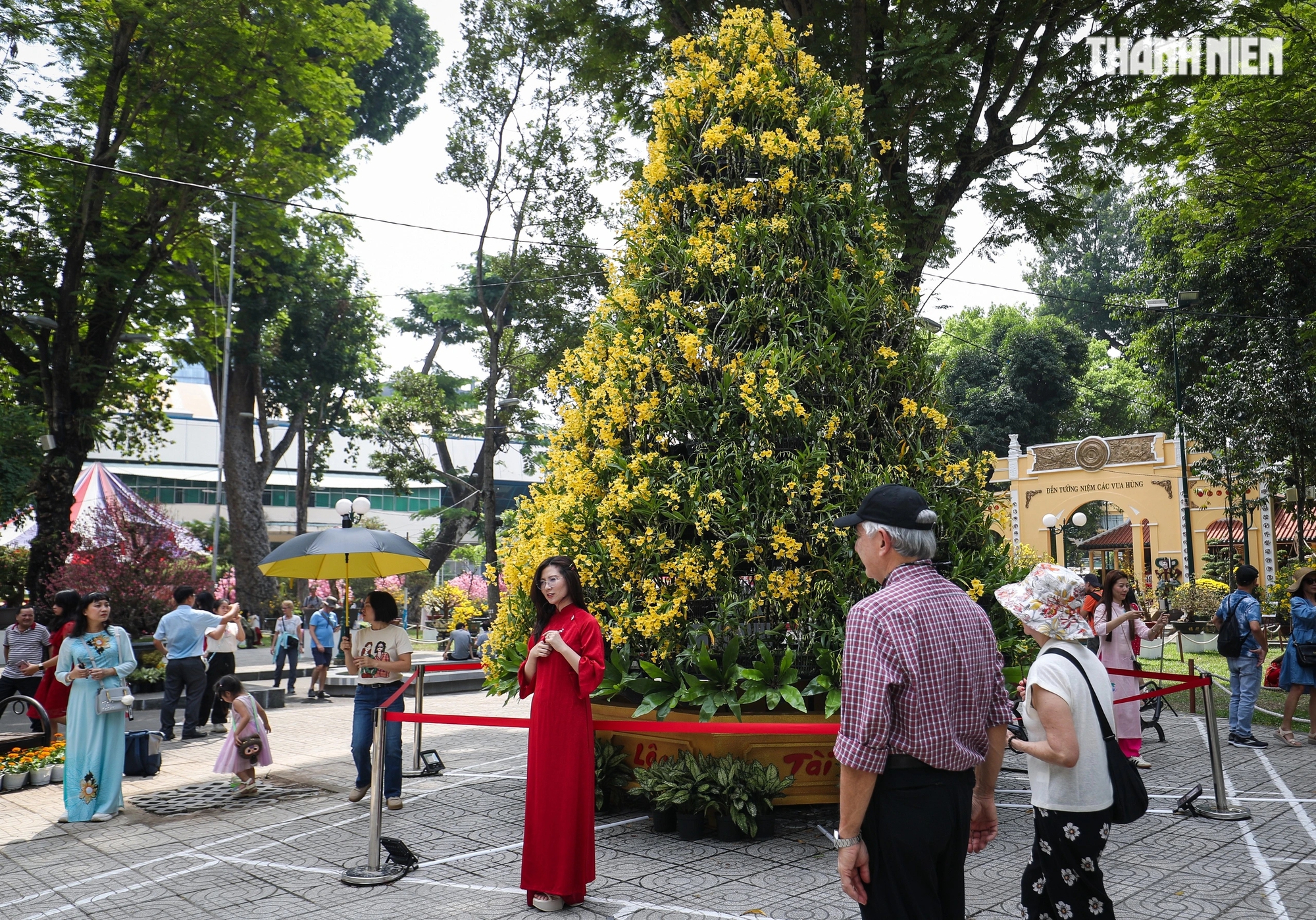 Hội hoa xuân Tao Đàn rực rỡ: Người dân, du khách thoải mái chụp ảnh du xuân- Ảnh 9.