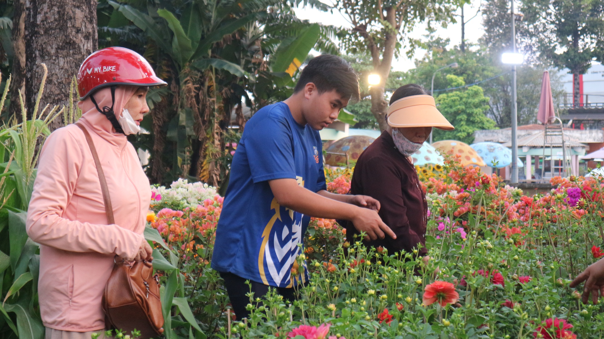 Có nơi ở TP.HCM tấp nập người mua hoa tết, chủ vườn cười toe vì bán được- Ảnh 3.