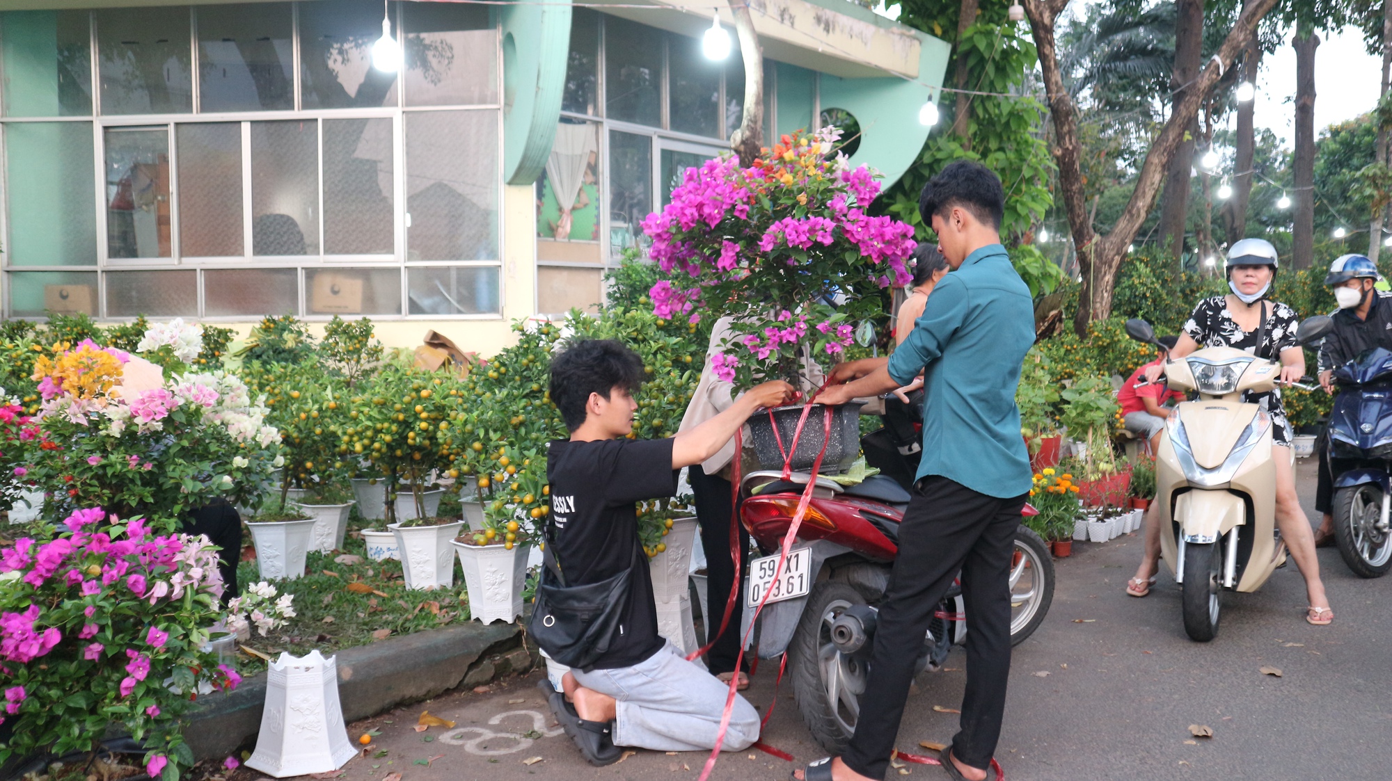 Có nơi ở TP.HCM tấp nập người mua hoa tết, chủ vườn cười toe vì bán được- Ảnh 4.