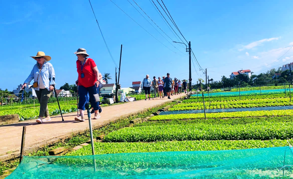 Du xuân ở làng rau di sản, khách Tây hào hứng 'hóa thân' thành nông dân- Ảnh 7.